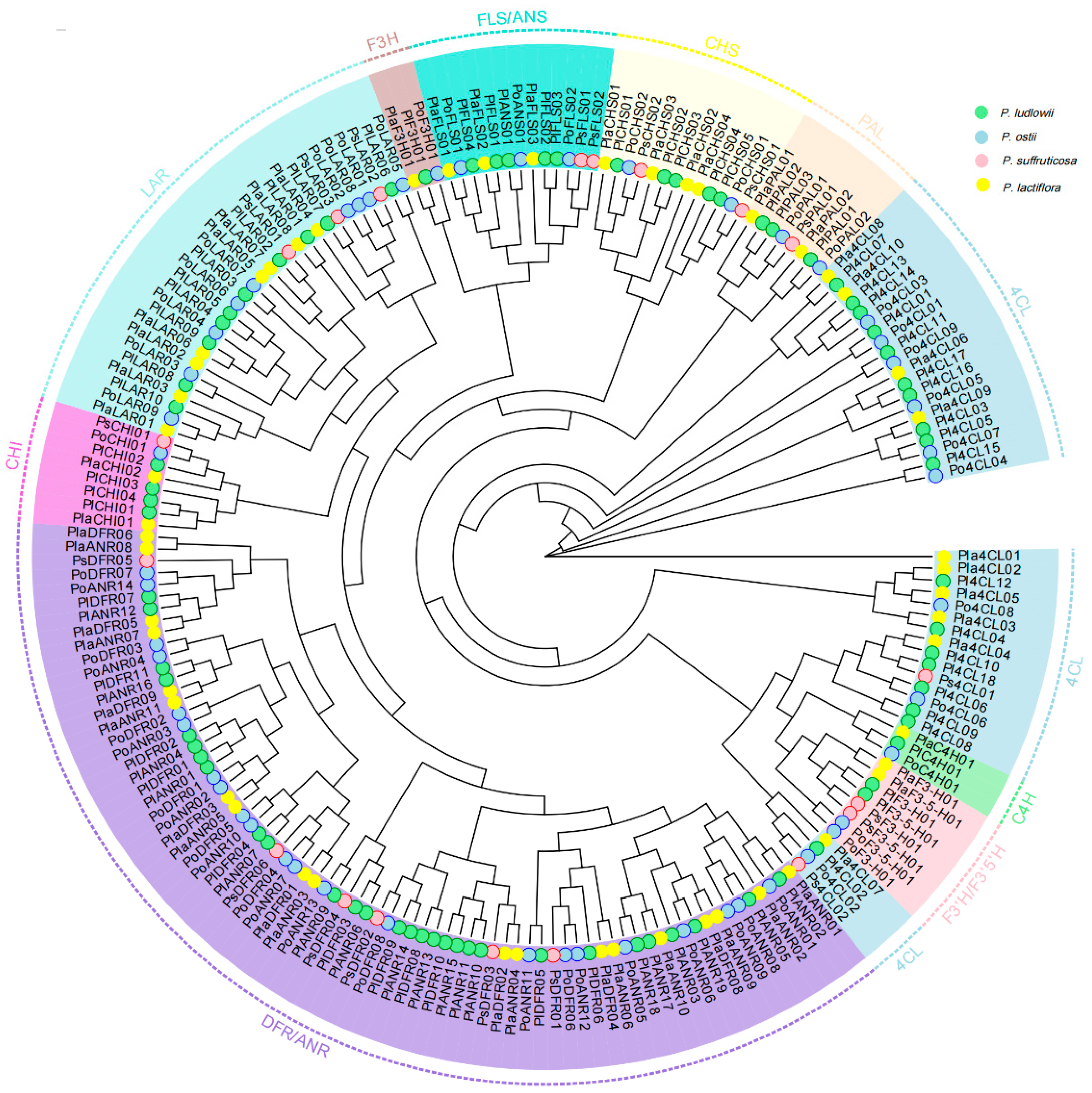 Horticulturae 11 00463 g005