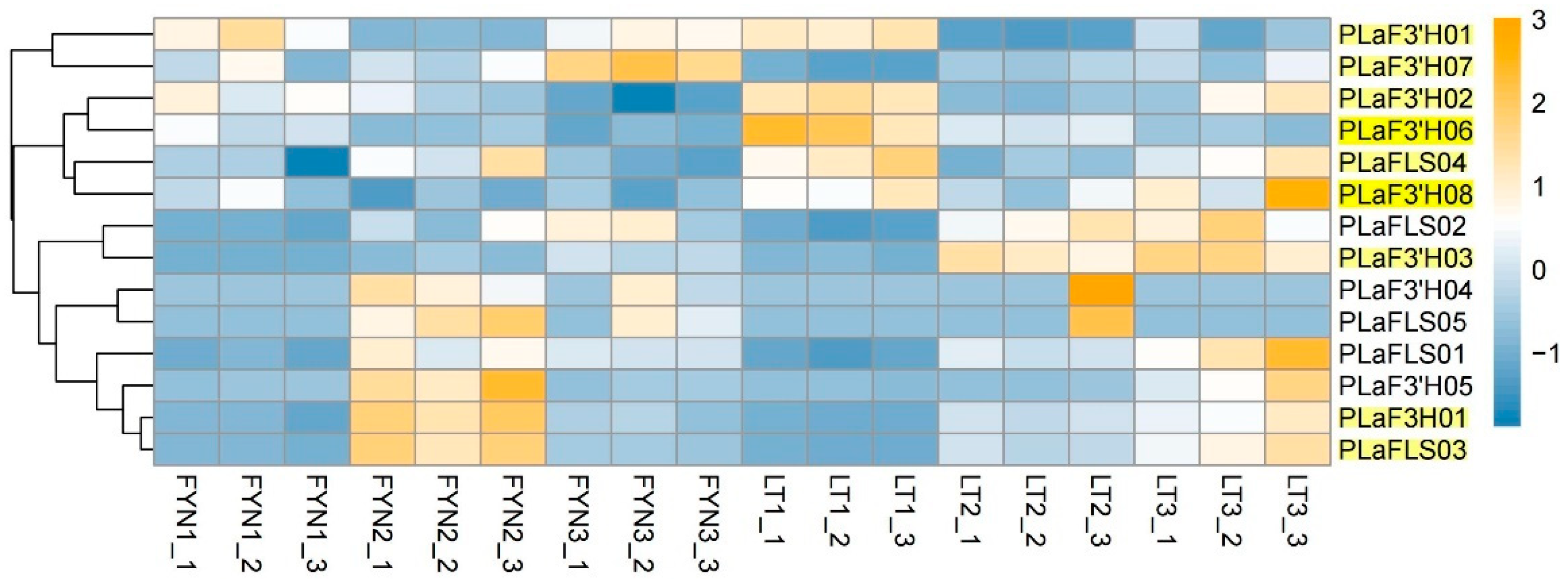 Horticulturae 11 00463 g006