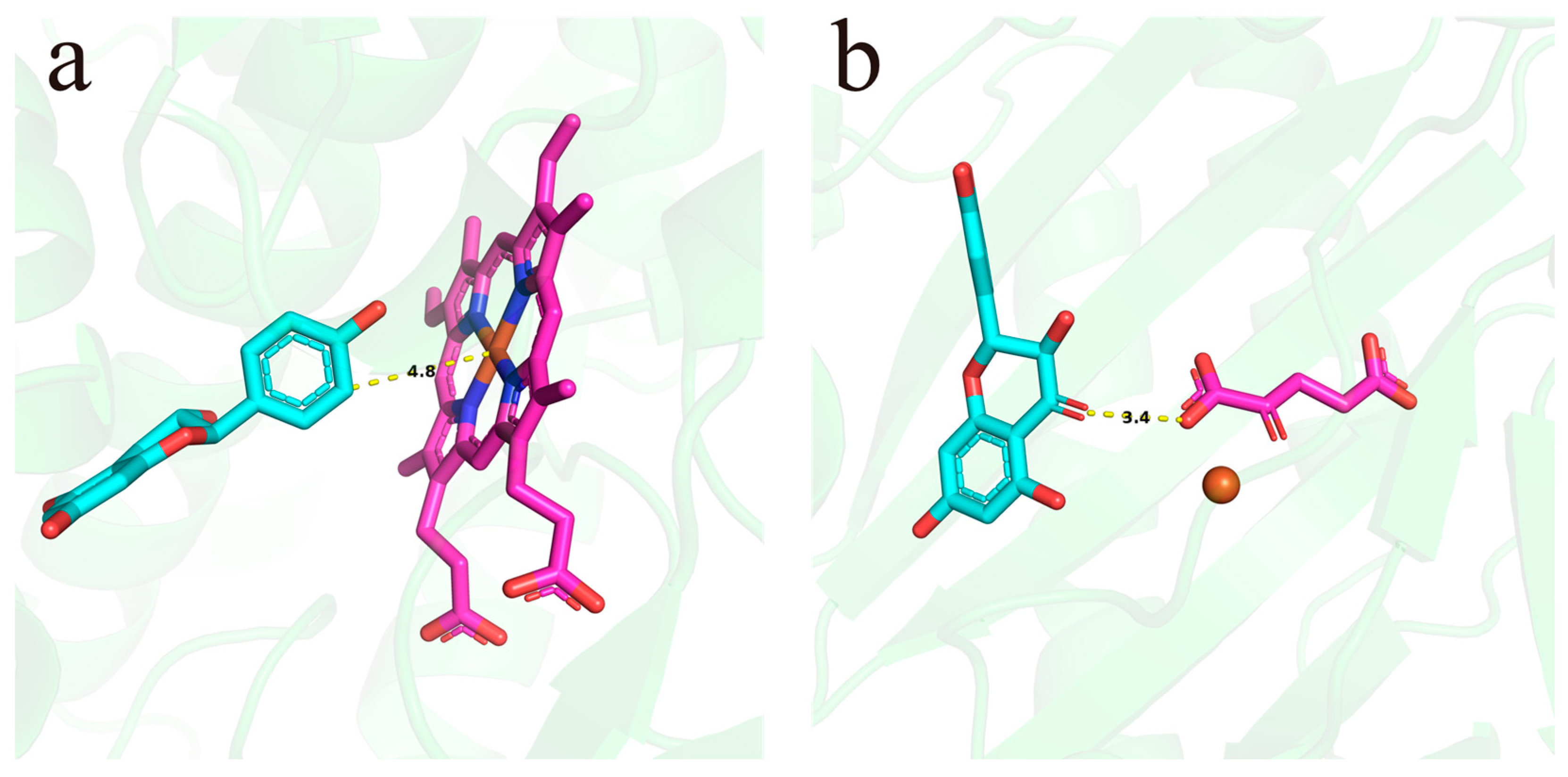 Horticulturae 11 00463 g009