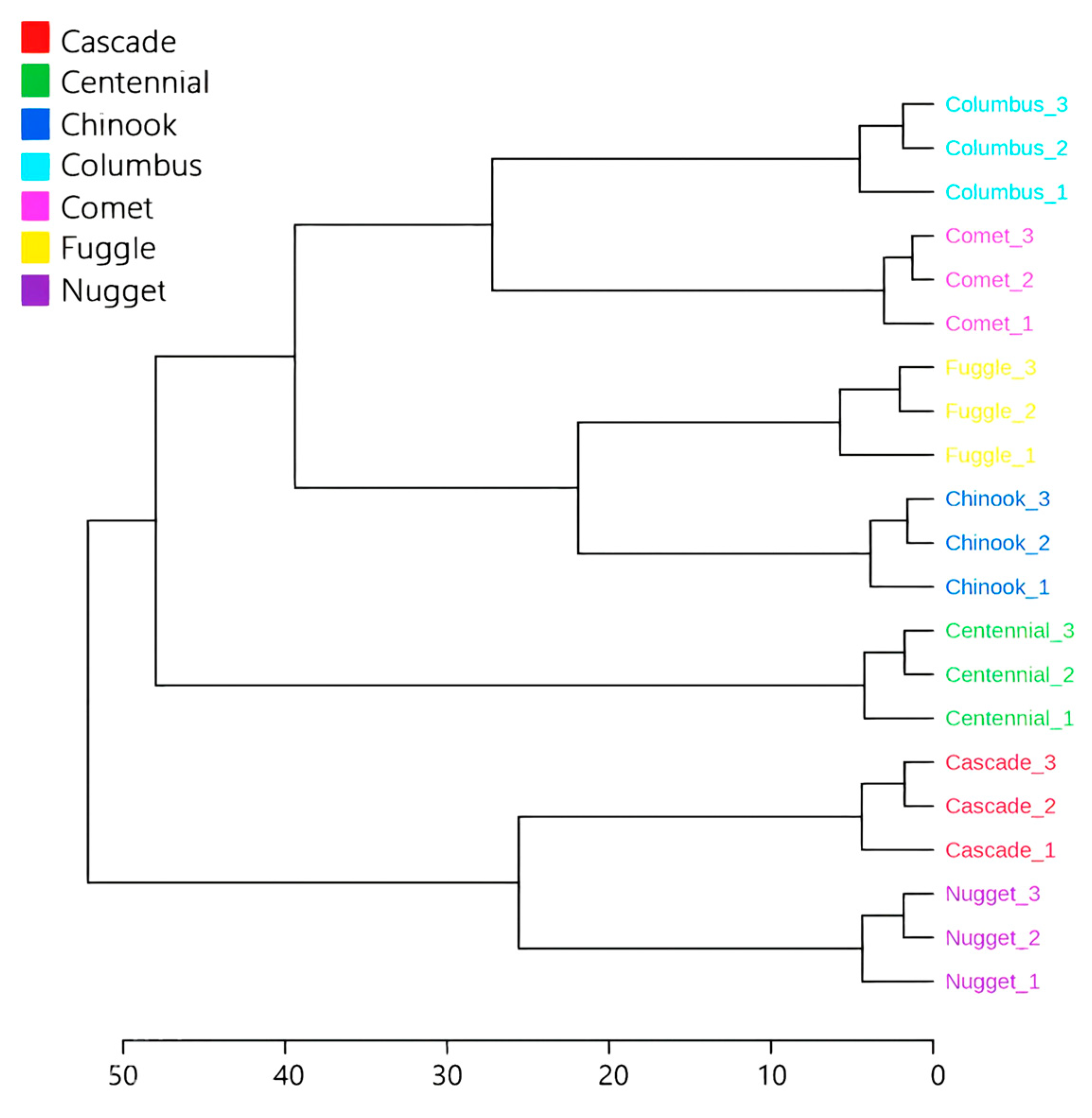 Horticulturae 11 00470 g001