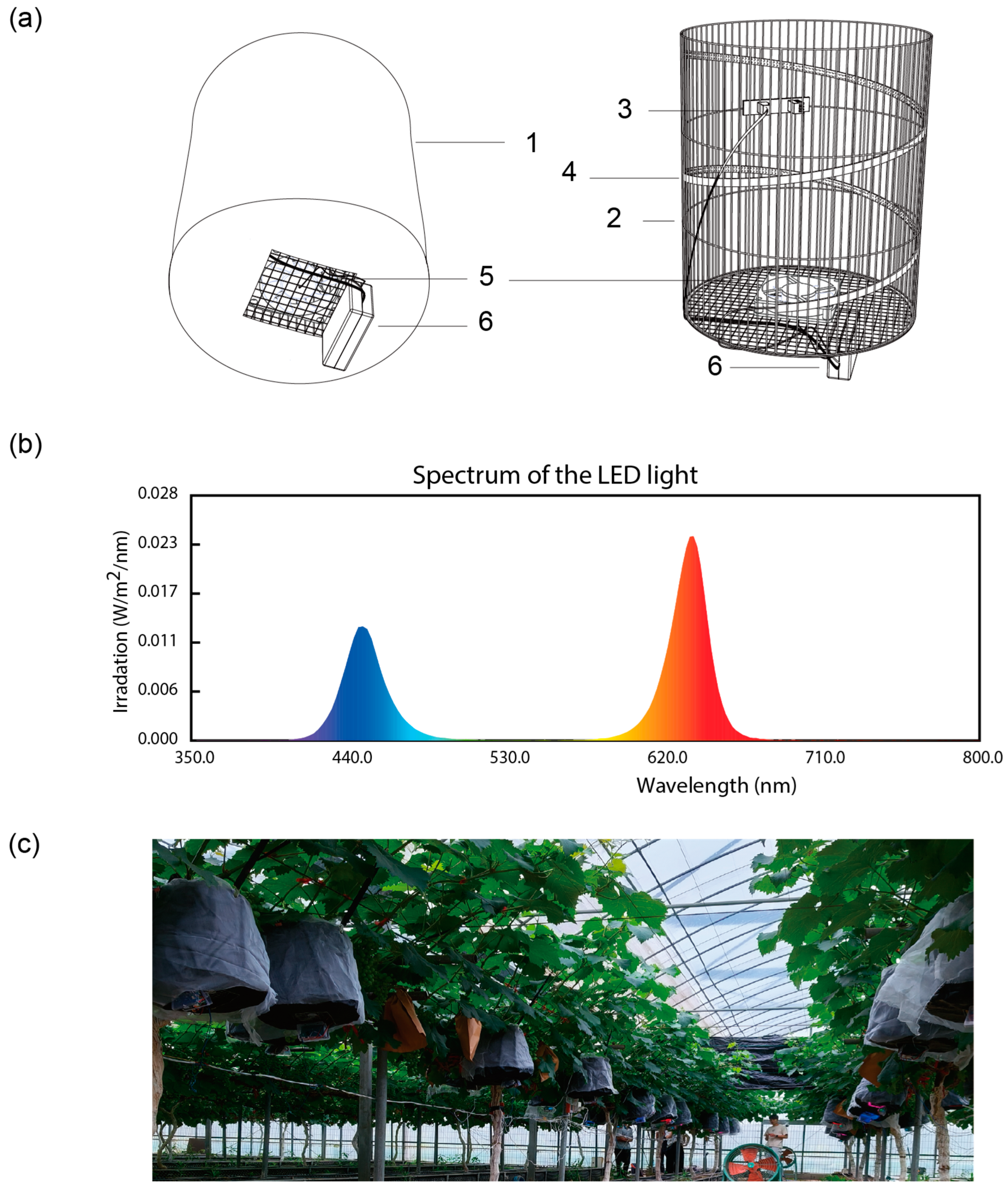 Horticulturae 11 00481 g001