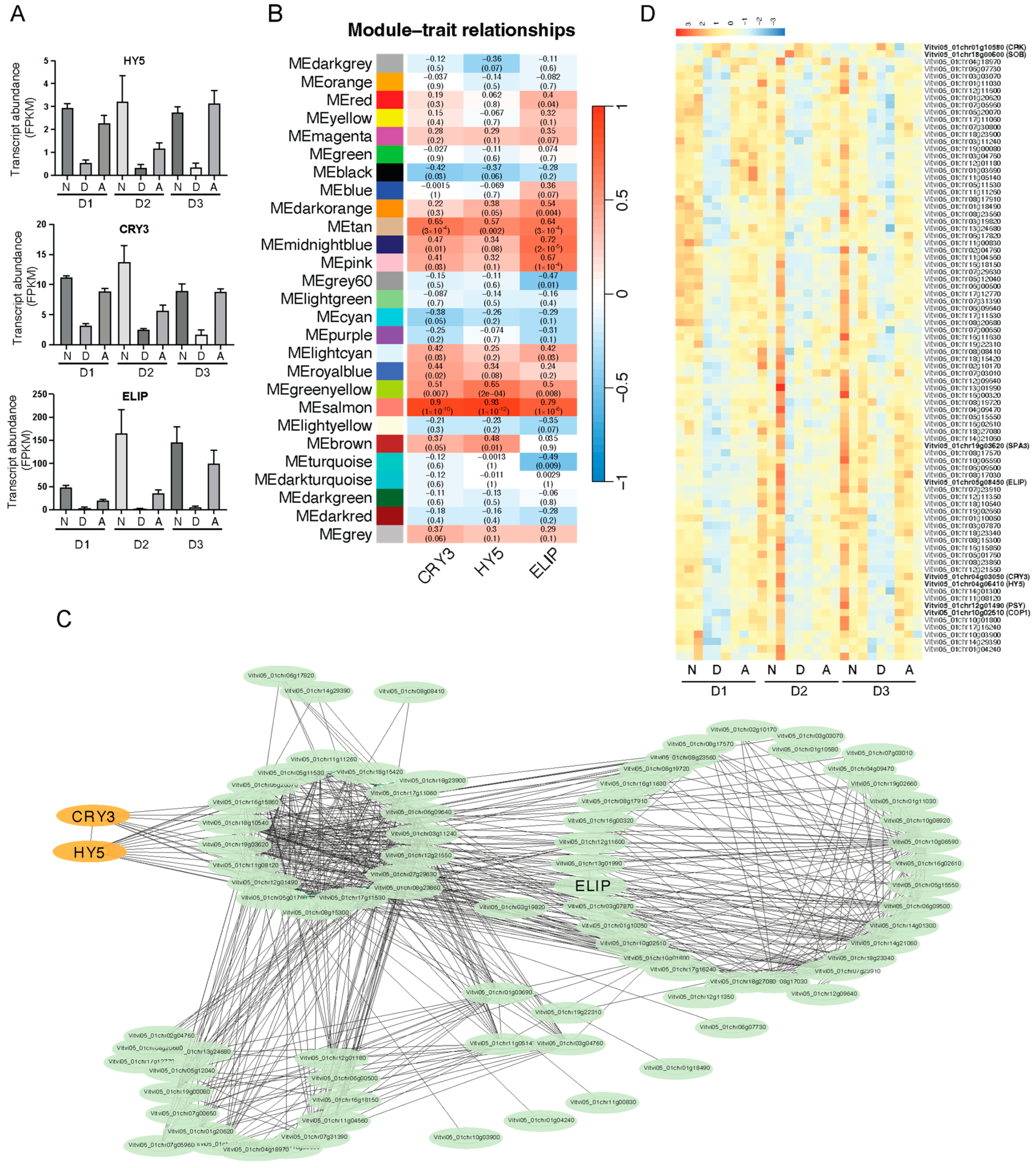 Horticulturae 11 00481 g004