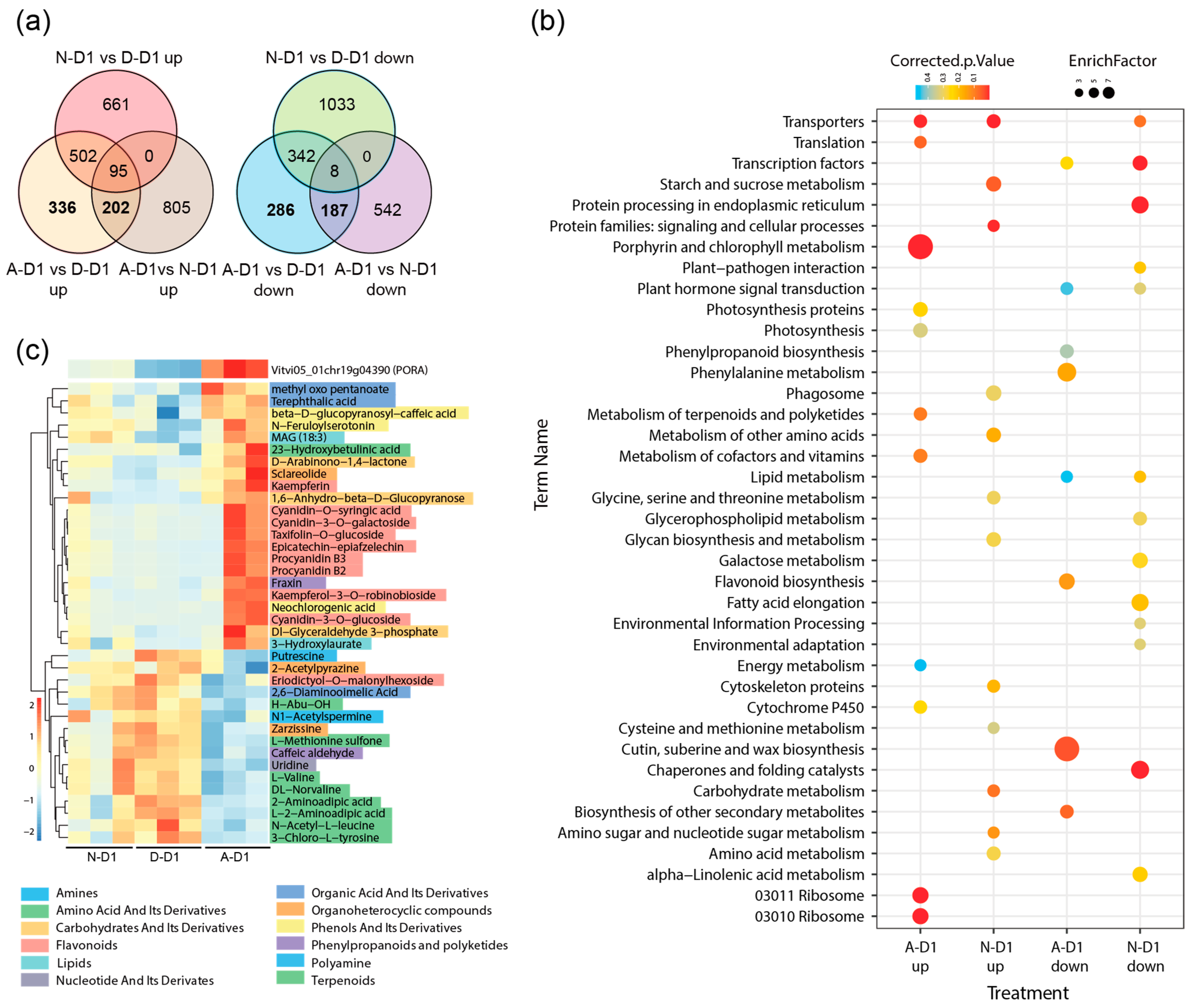 Horticulturae 11 00481 g007