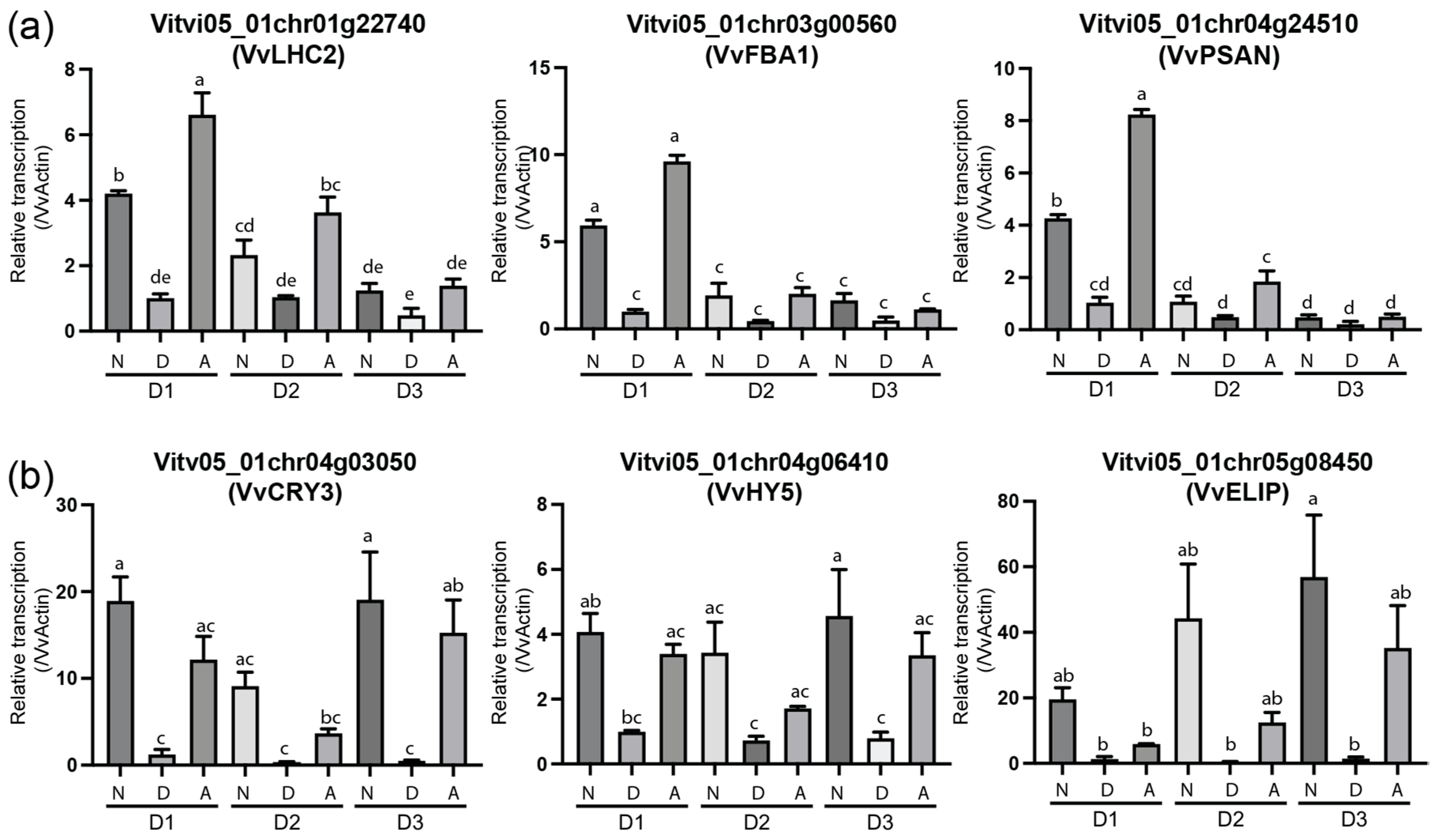 Horticulturae 11 00481 g008