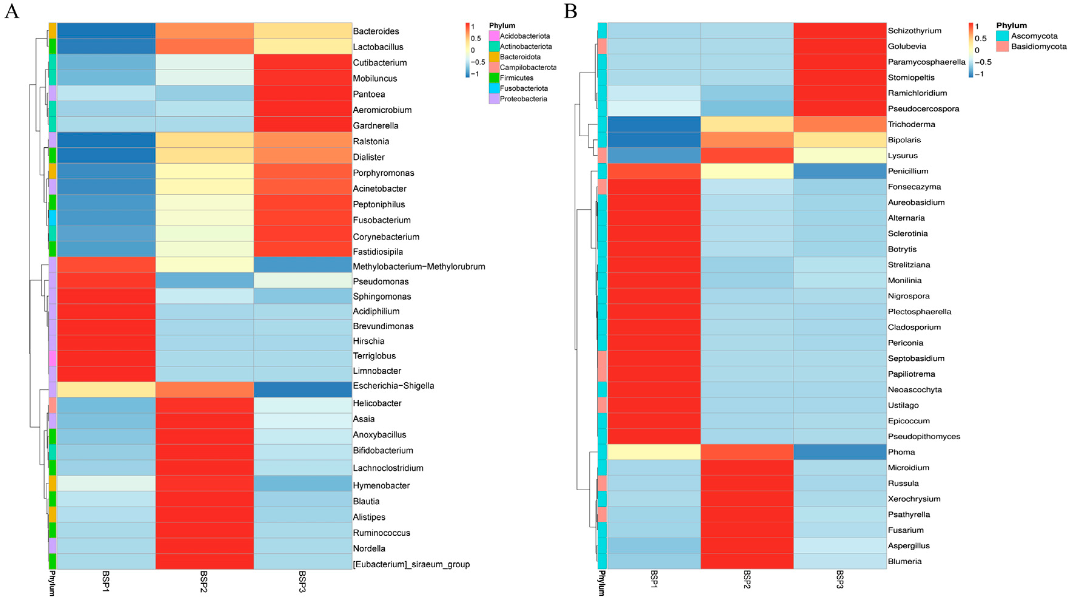 Horticulturae 11 00483 g003