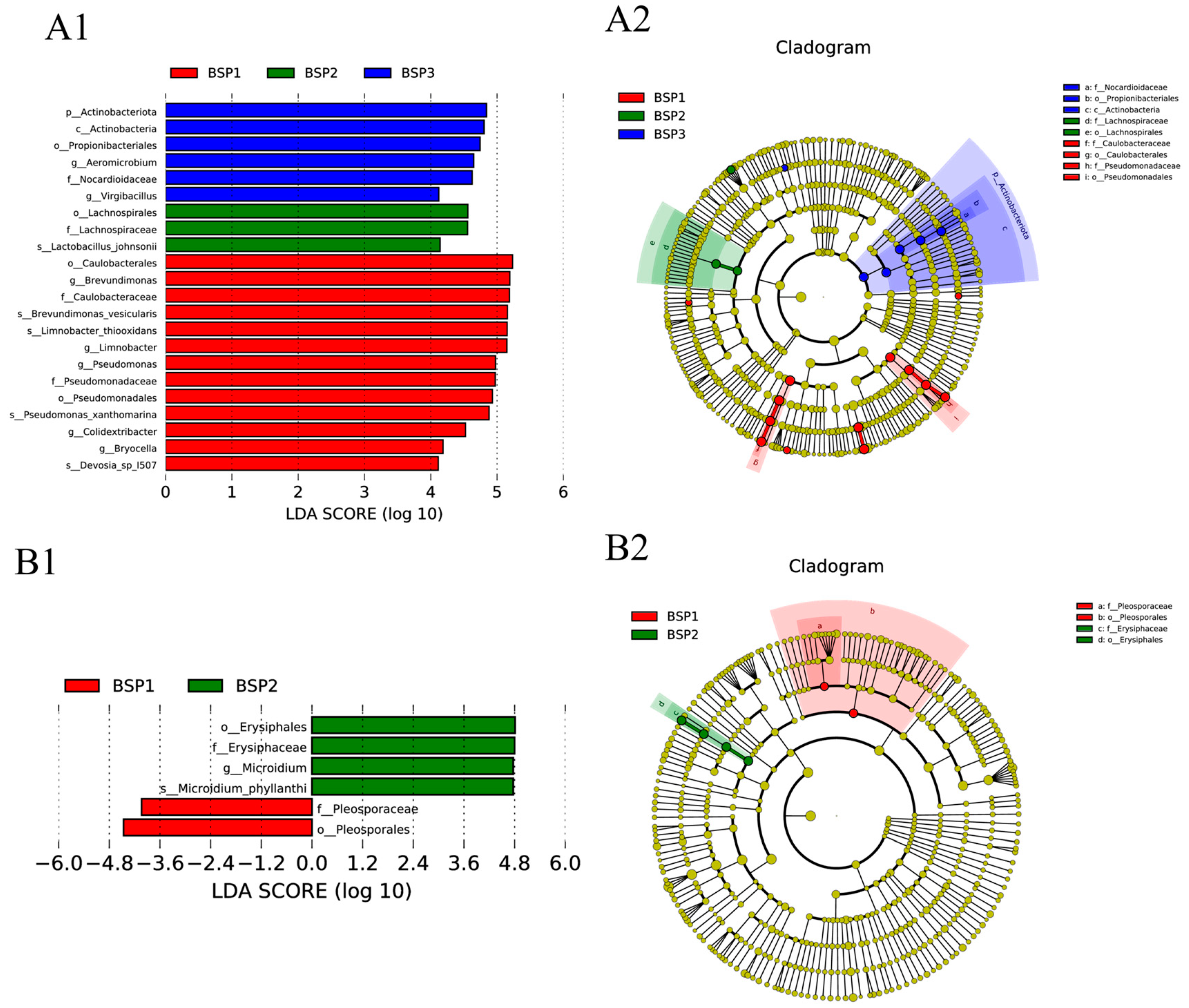 Horticulturae 11 00483 g005
