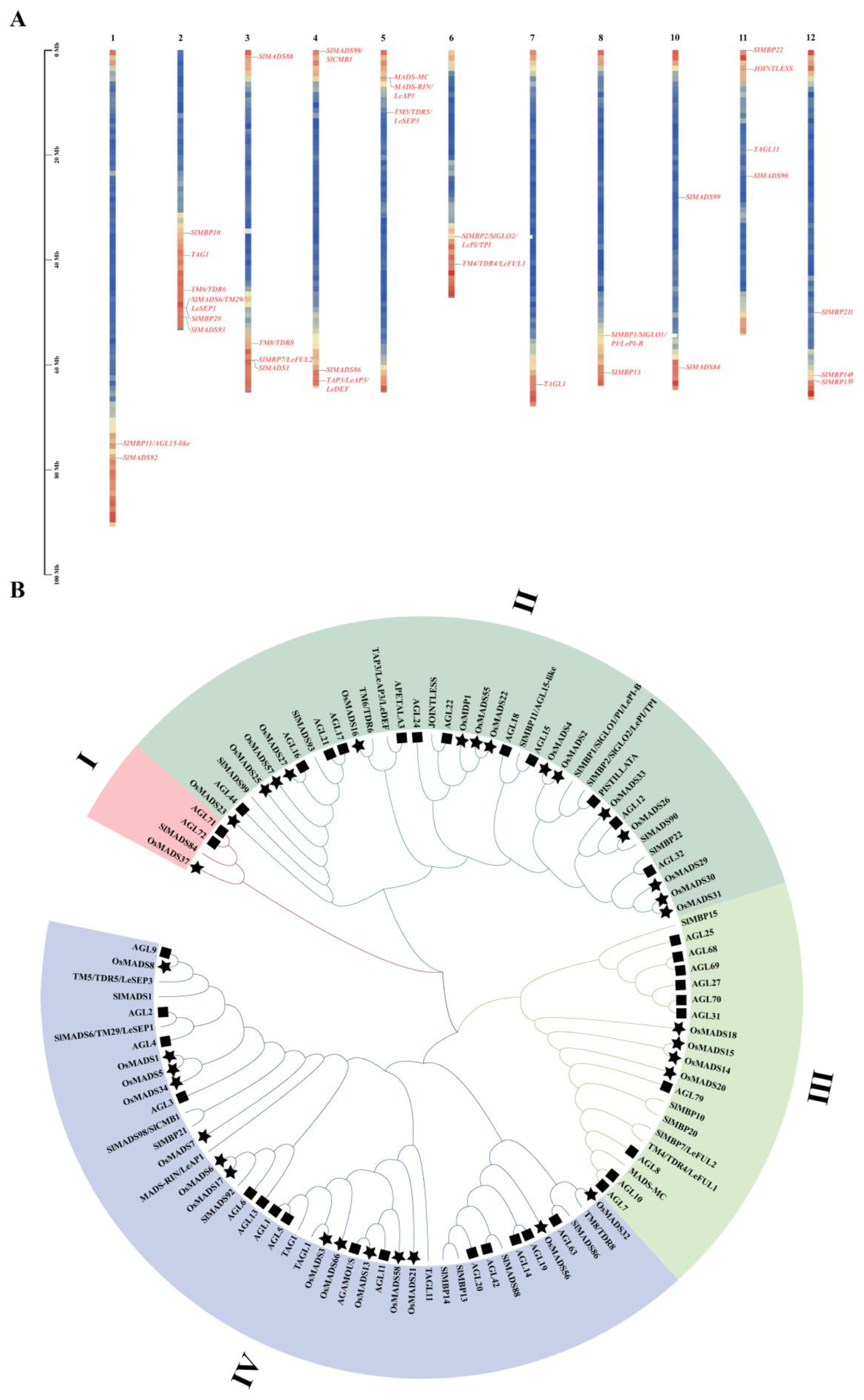 Horticulturae 11 00487 g001
