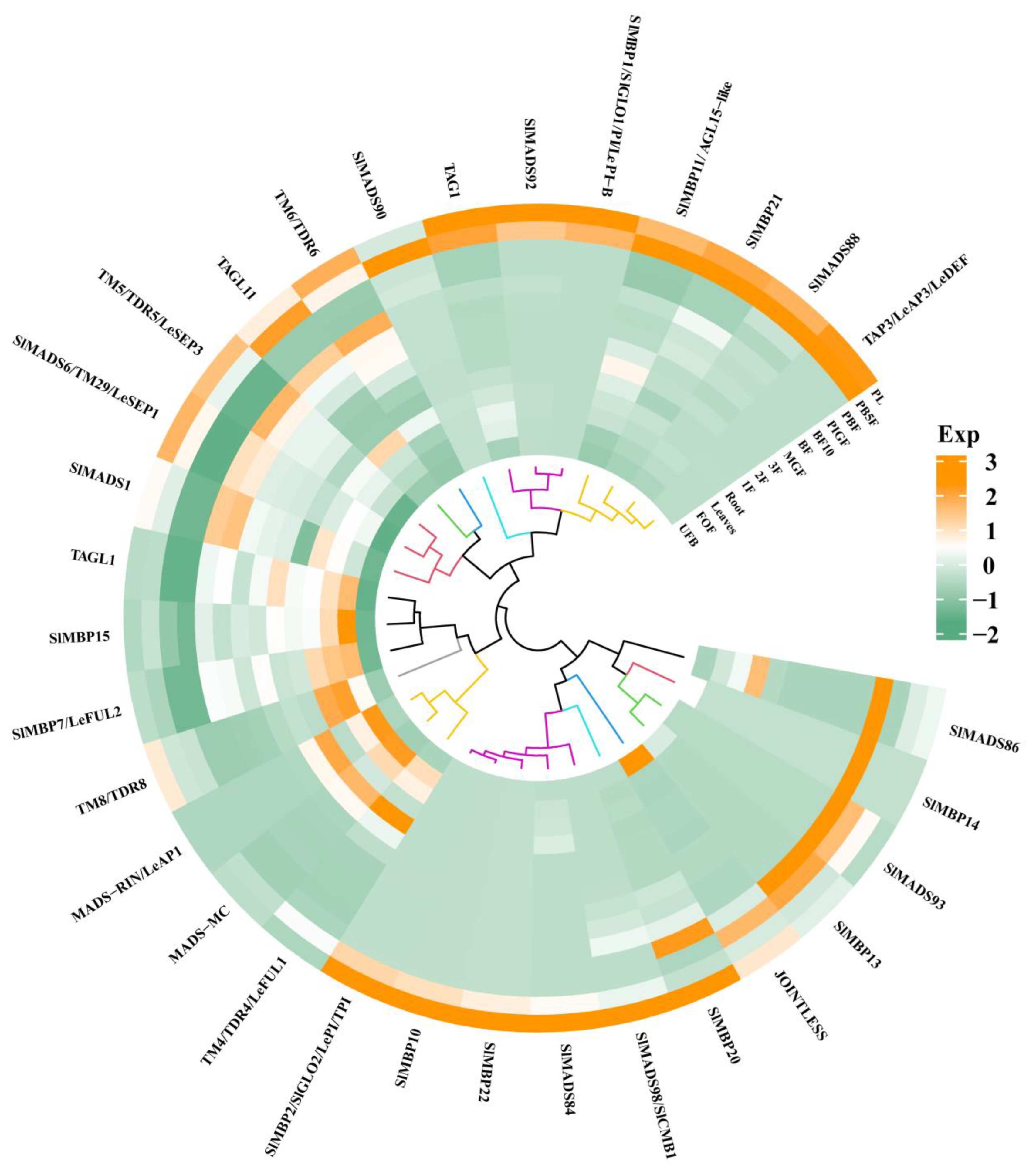 Horticulturae 11 00487 g003