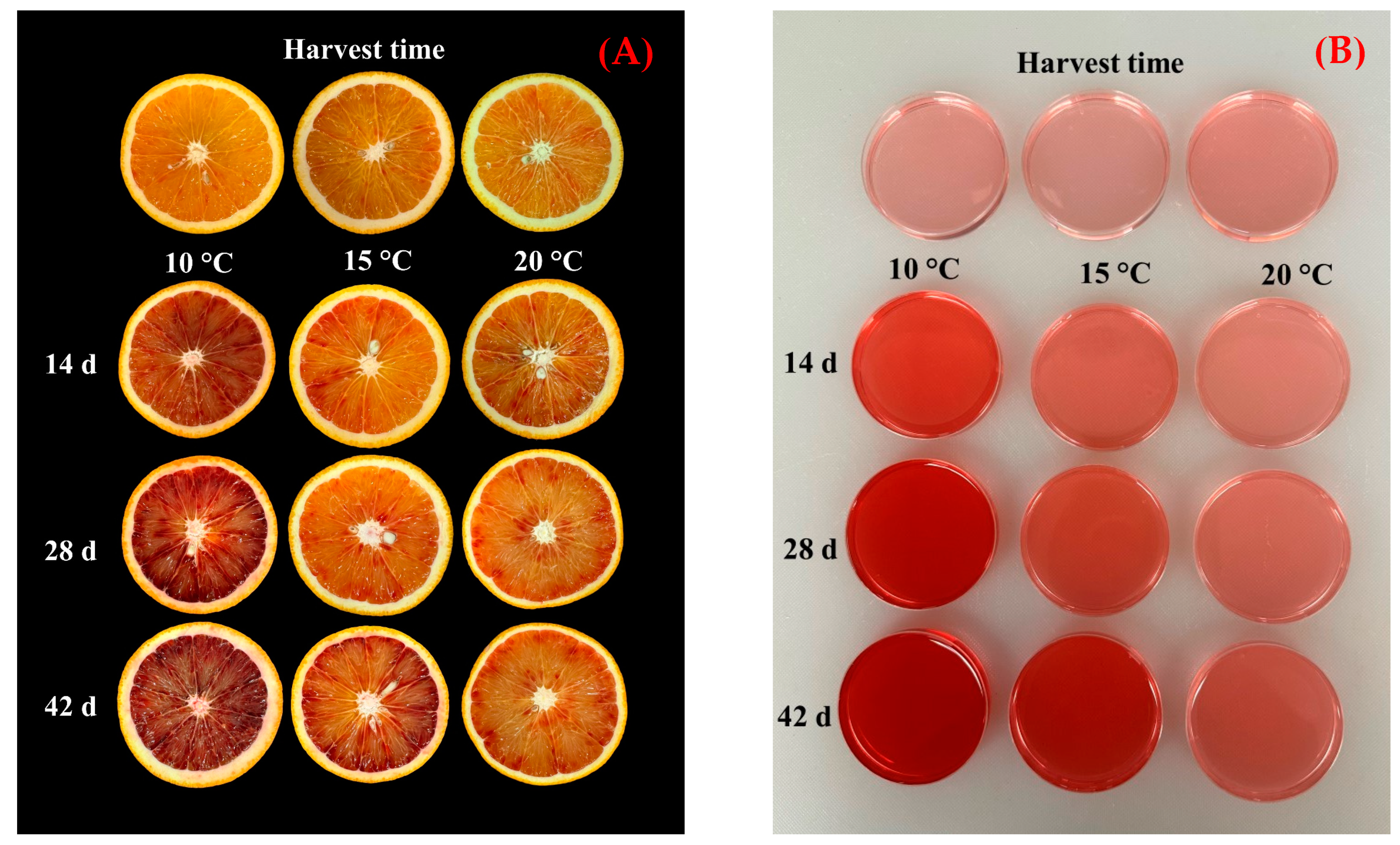 Horticulturae 11 00493 g005
