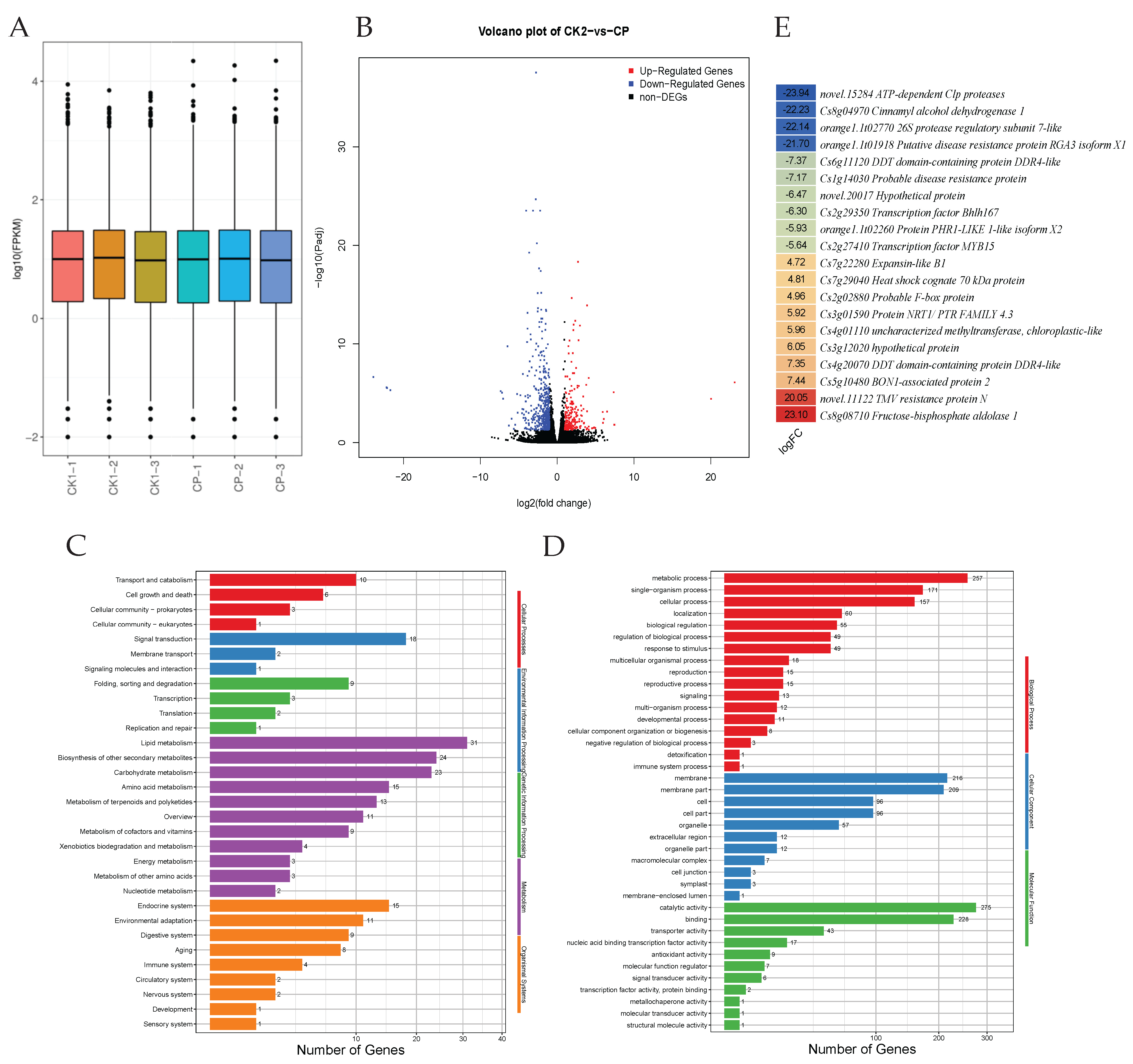 Horticulturae 11 00496 g004