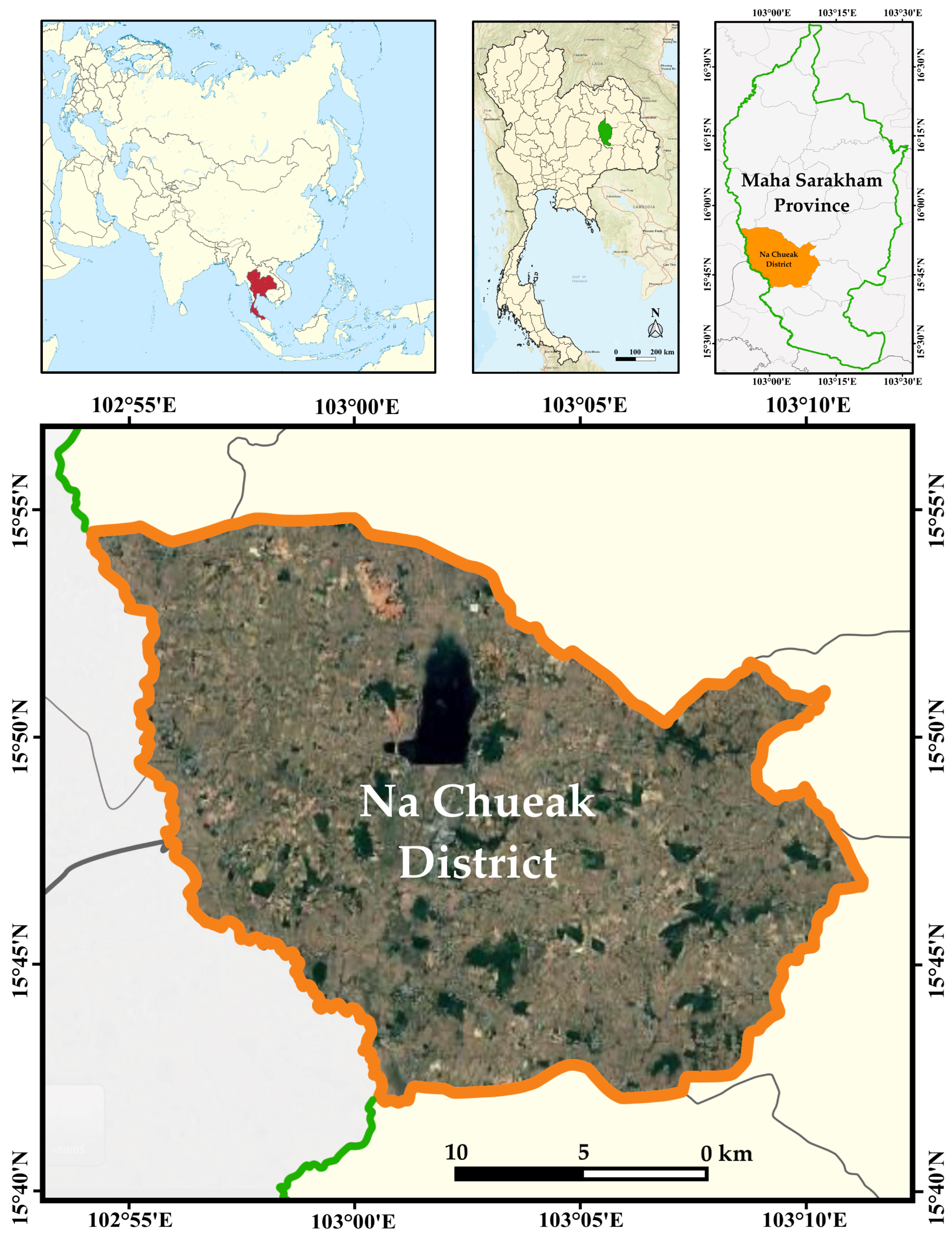 Horticulturae 11 00497 g001