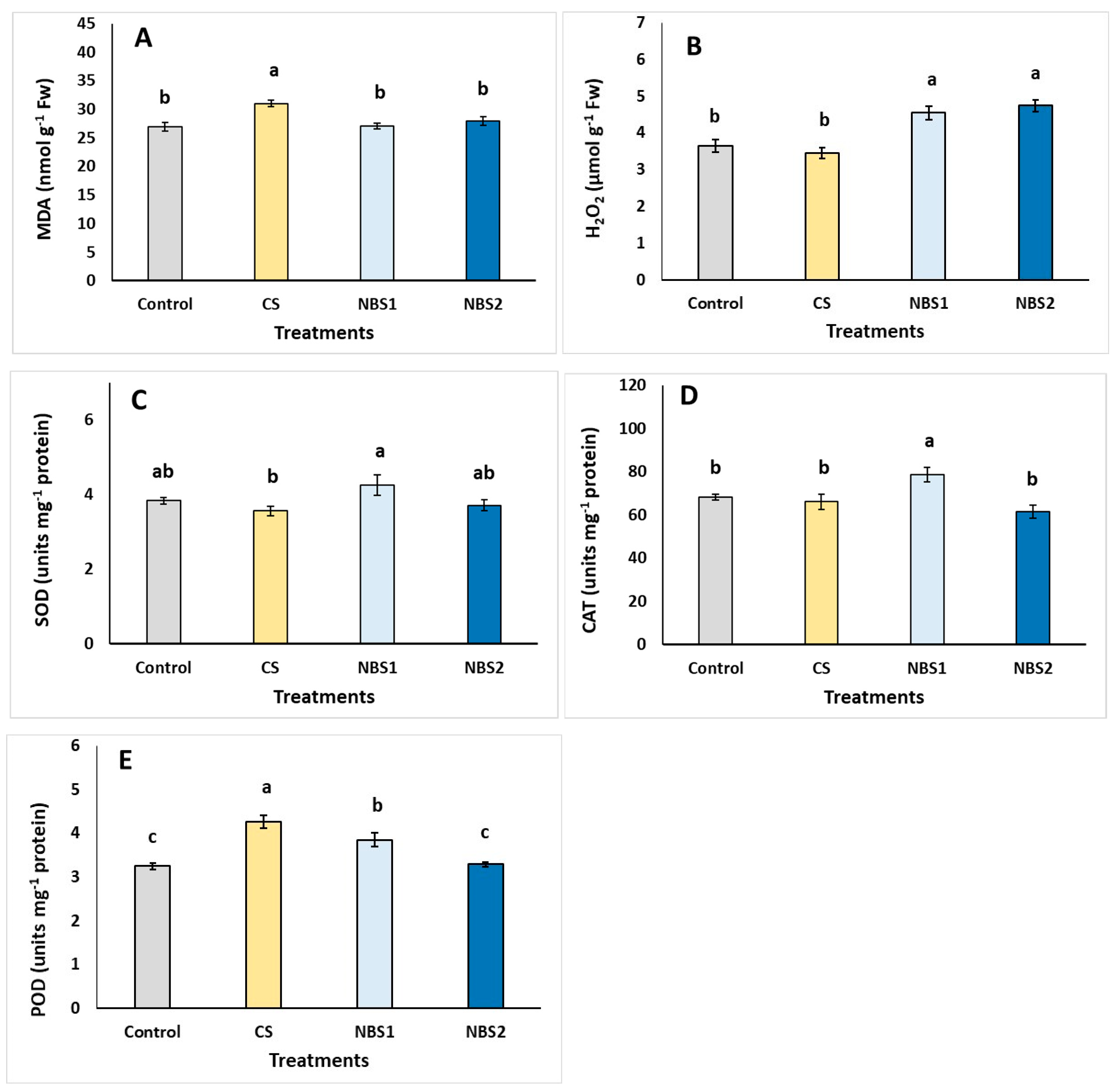 Horticulturae 11 00499 g002