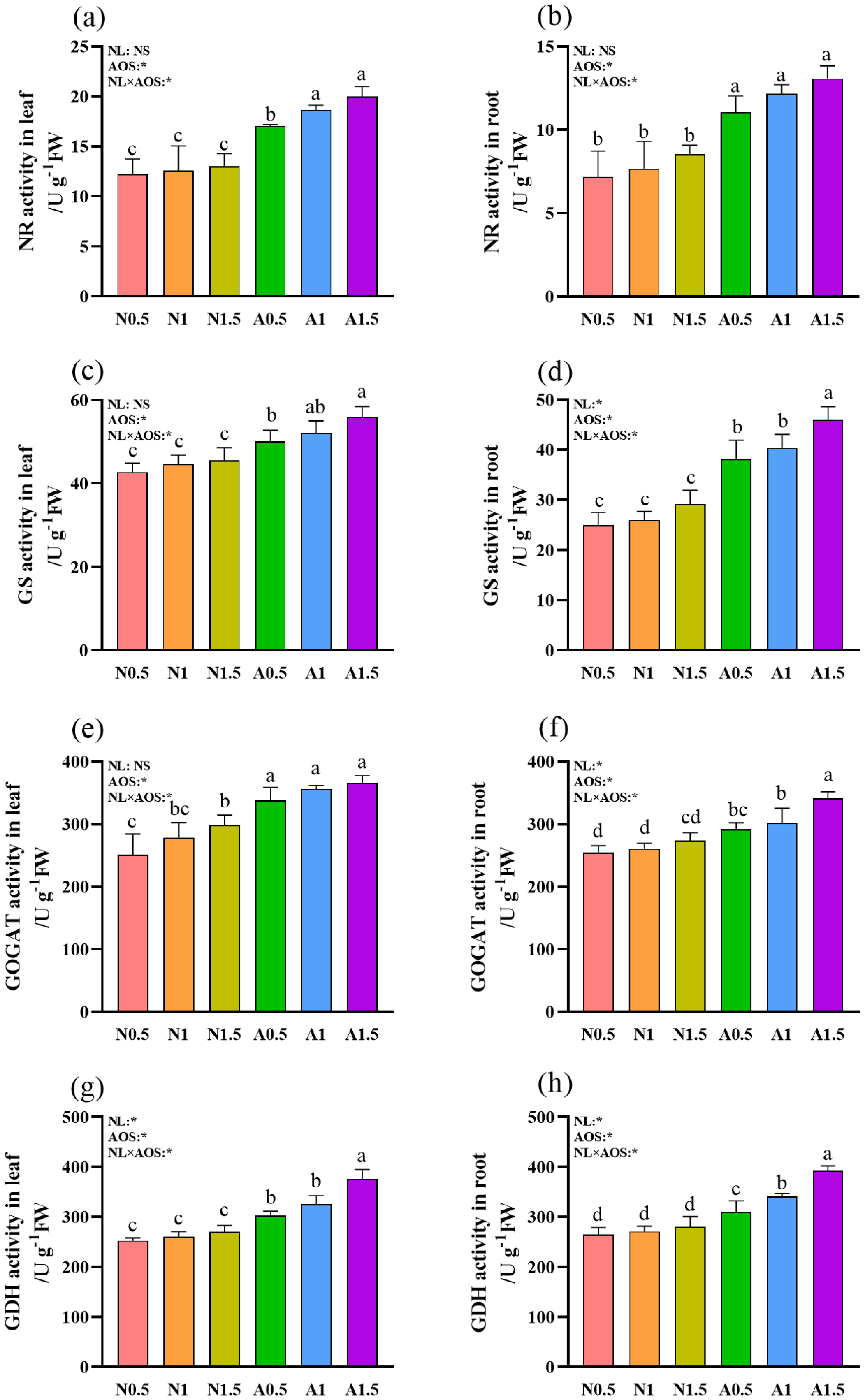 Horticulturae 11 00501 g005