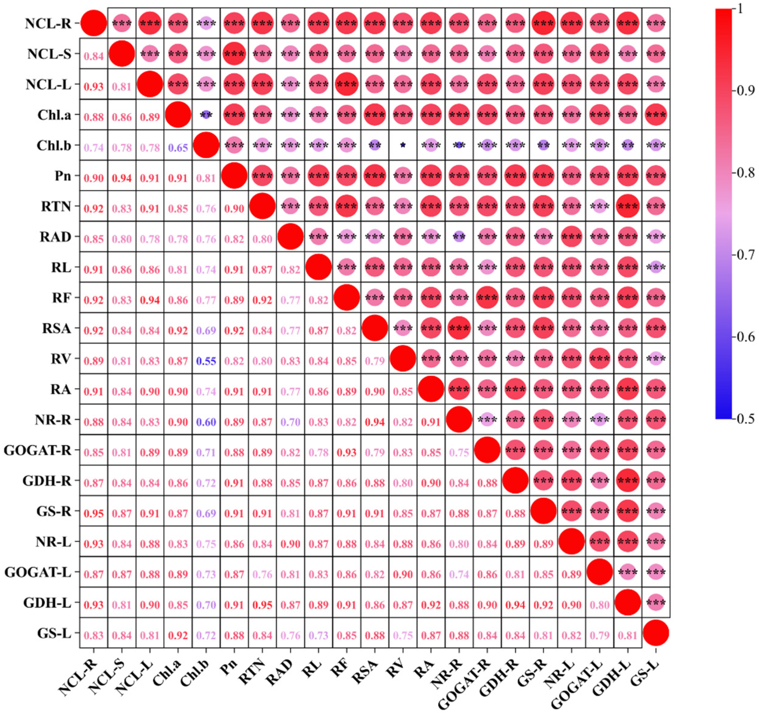 Horticulturae 11 00501 g007