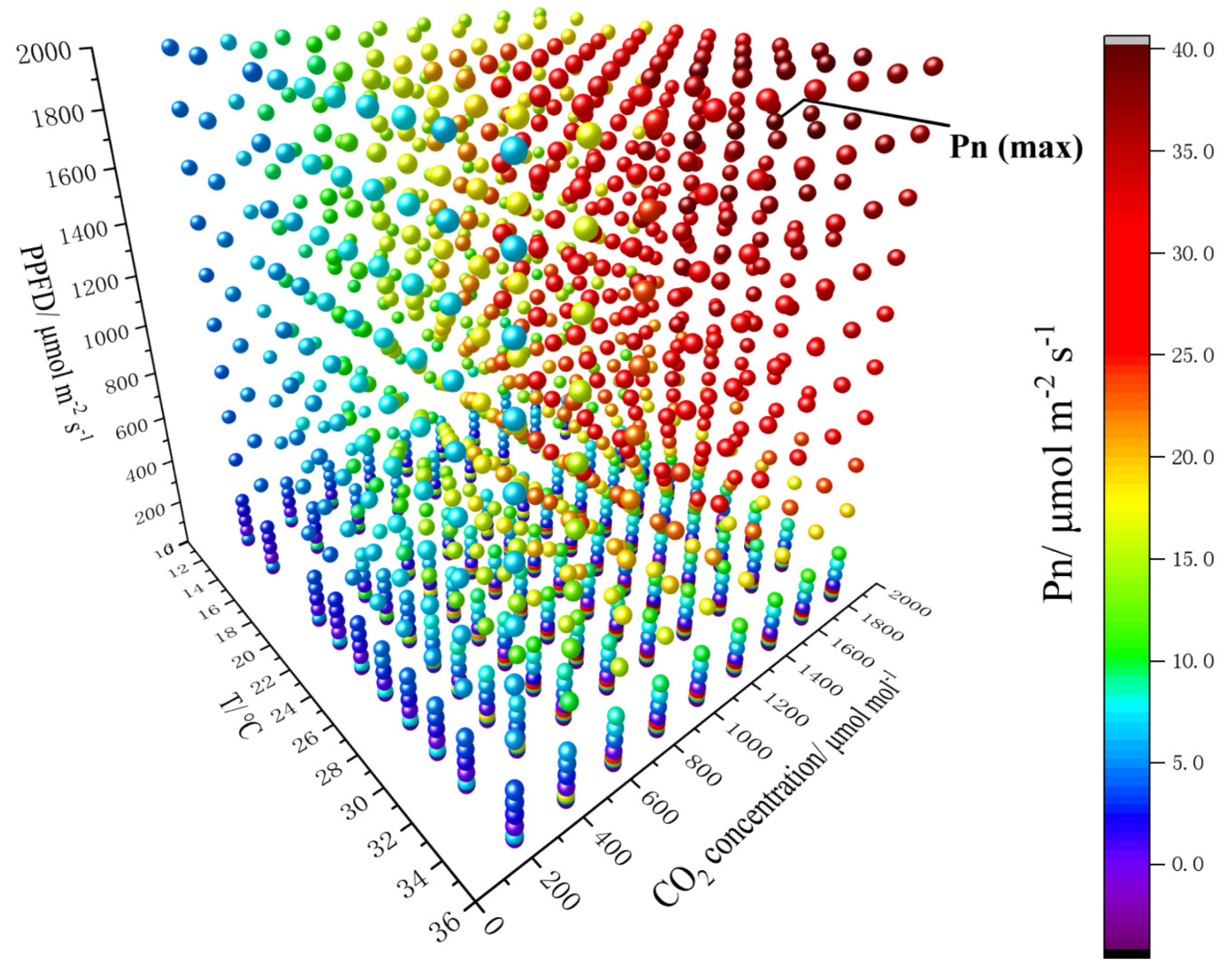 A Predictive Model of the Photosynthetic Rate of Chili