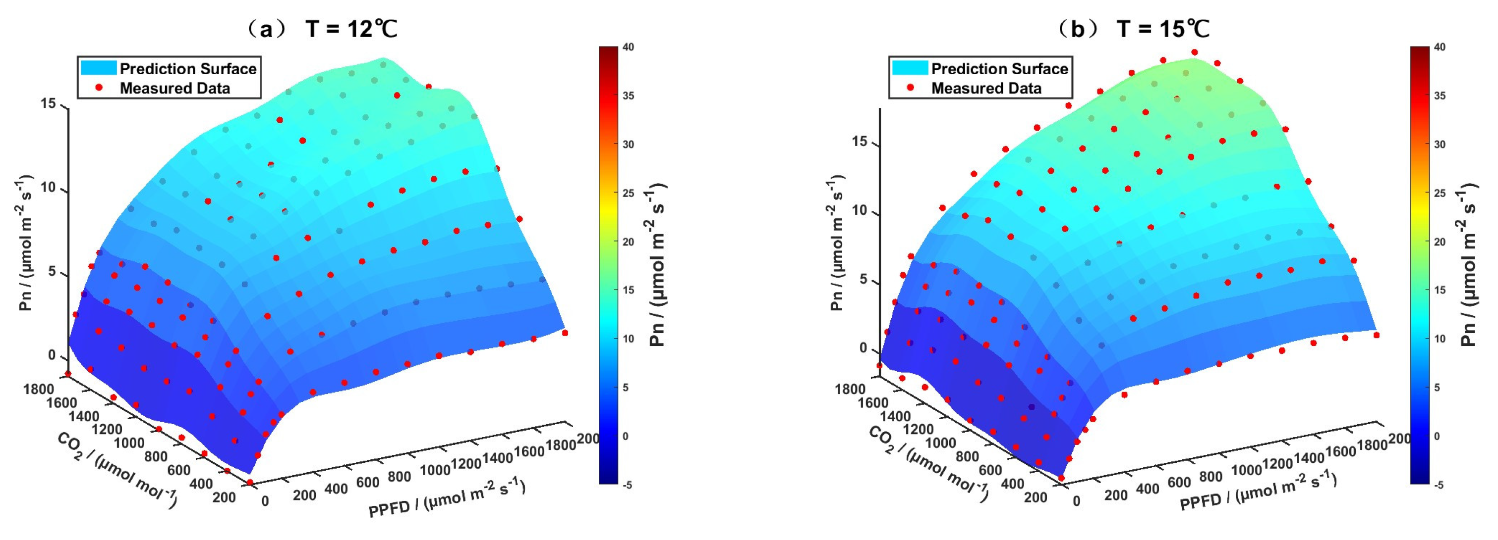 Horticulturae 11 00502 g003a