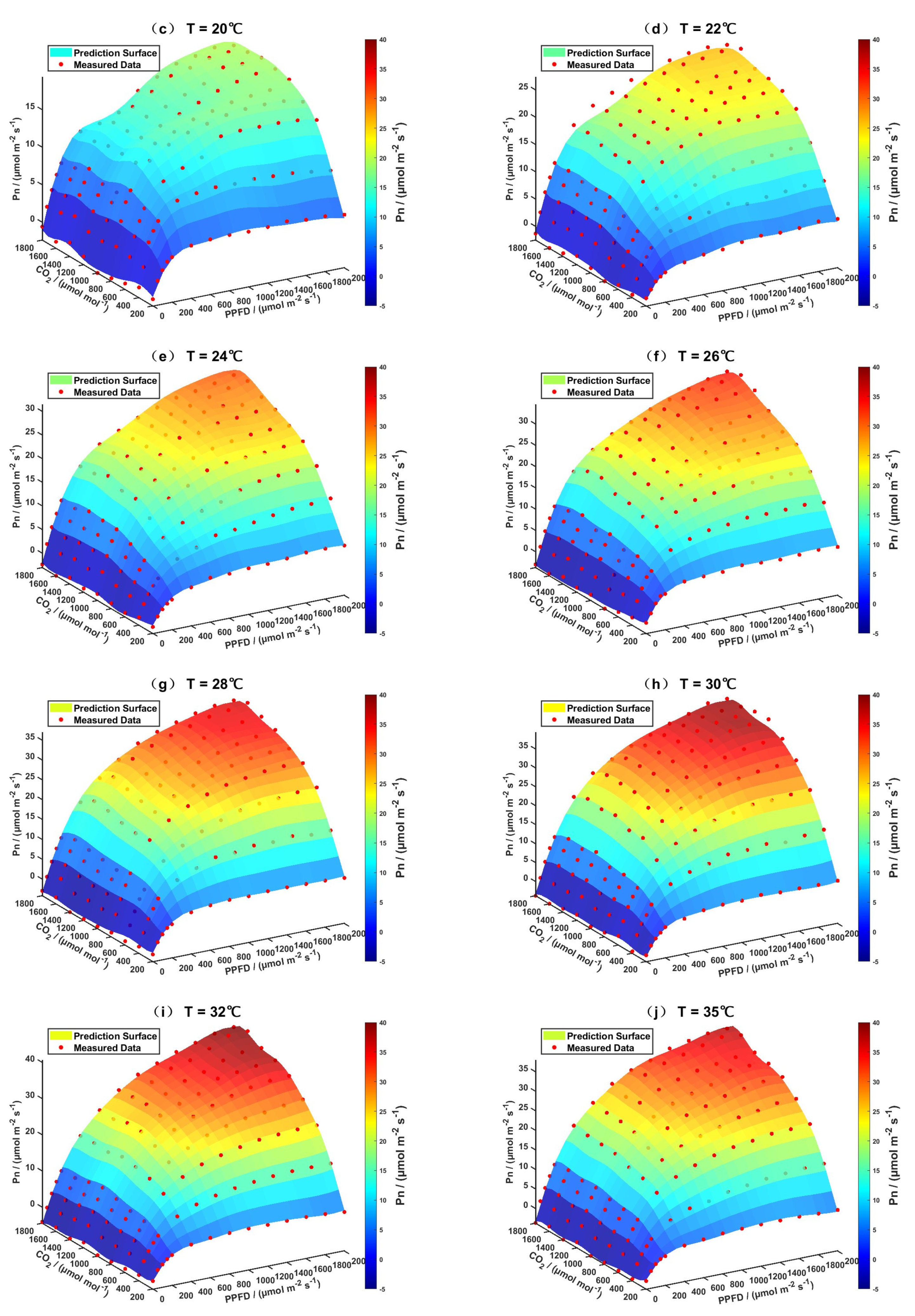 Horticulturae 11 00502 g003b