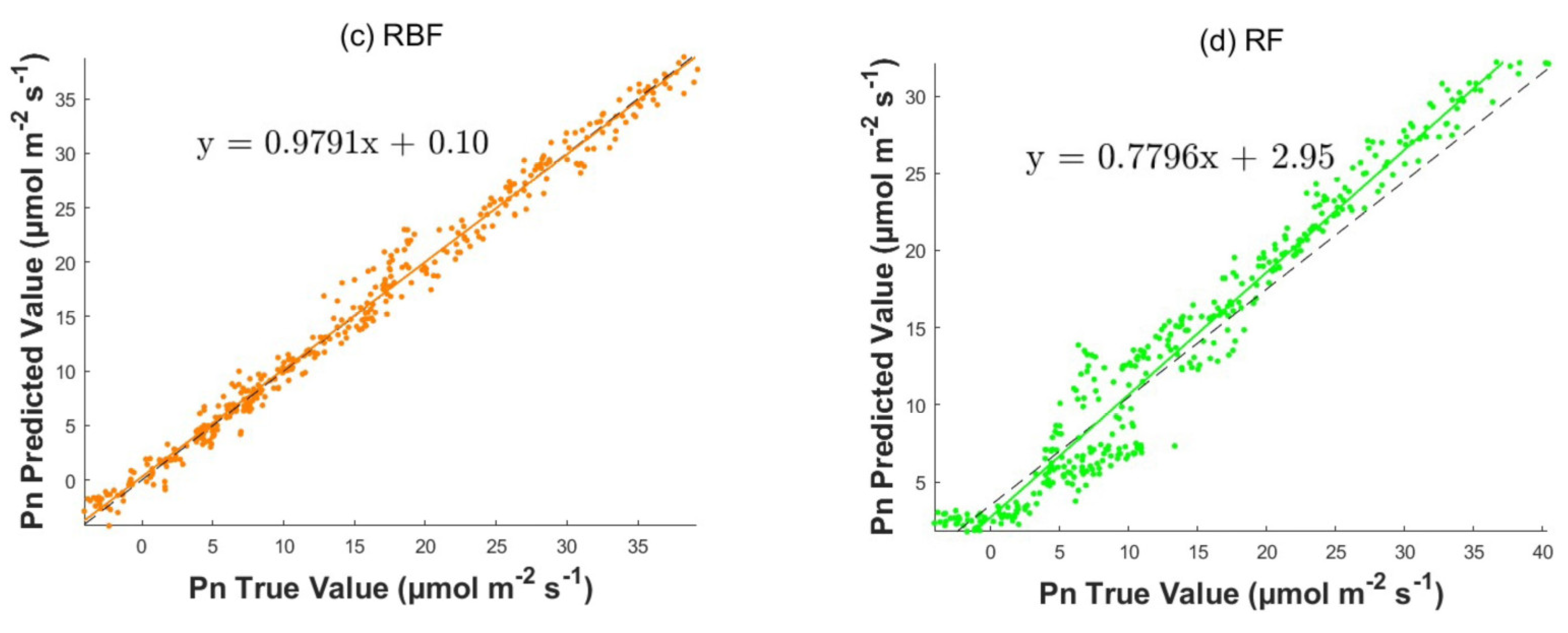 Horticulturae 11 00502 g004b