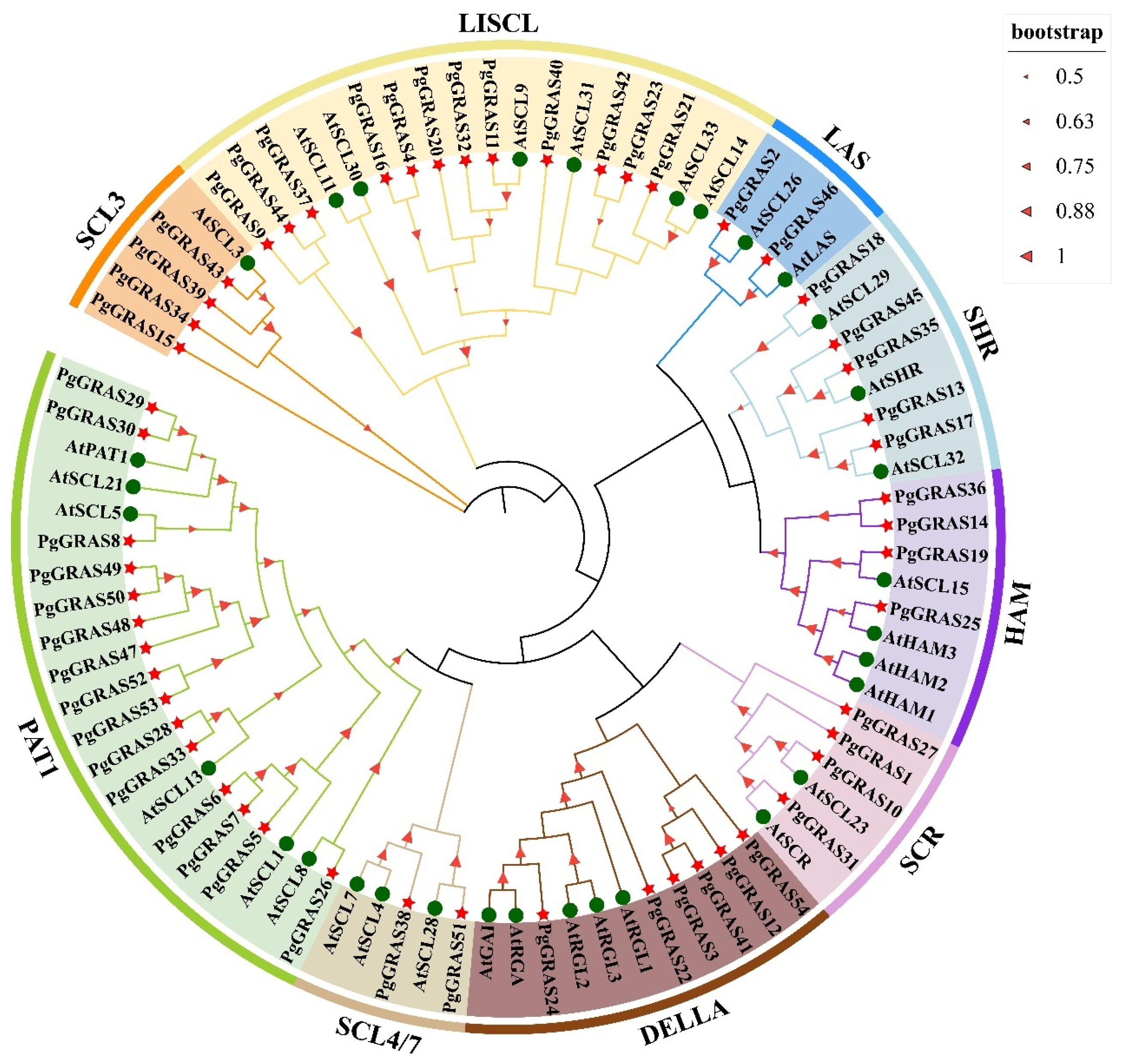 Horticulturae 11 00504 g001