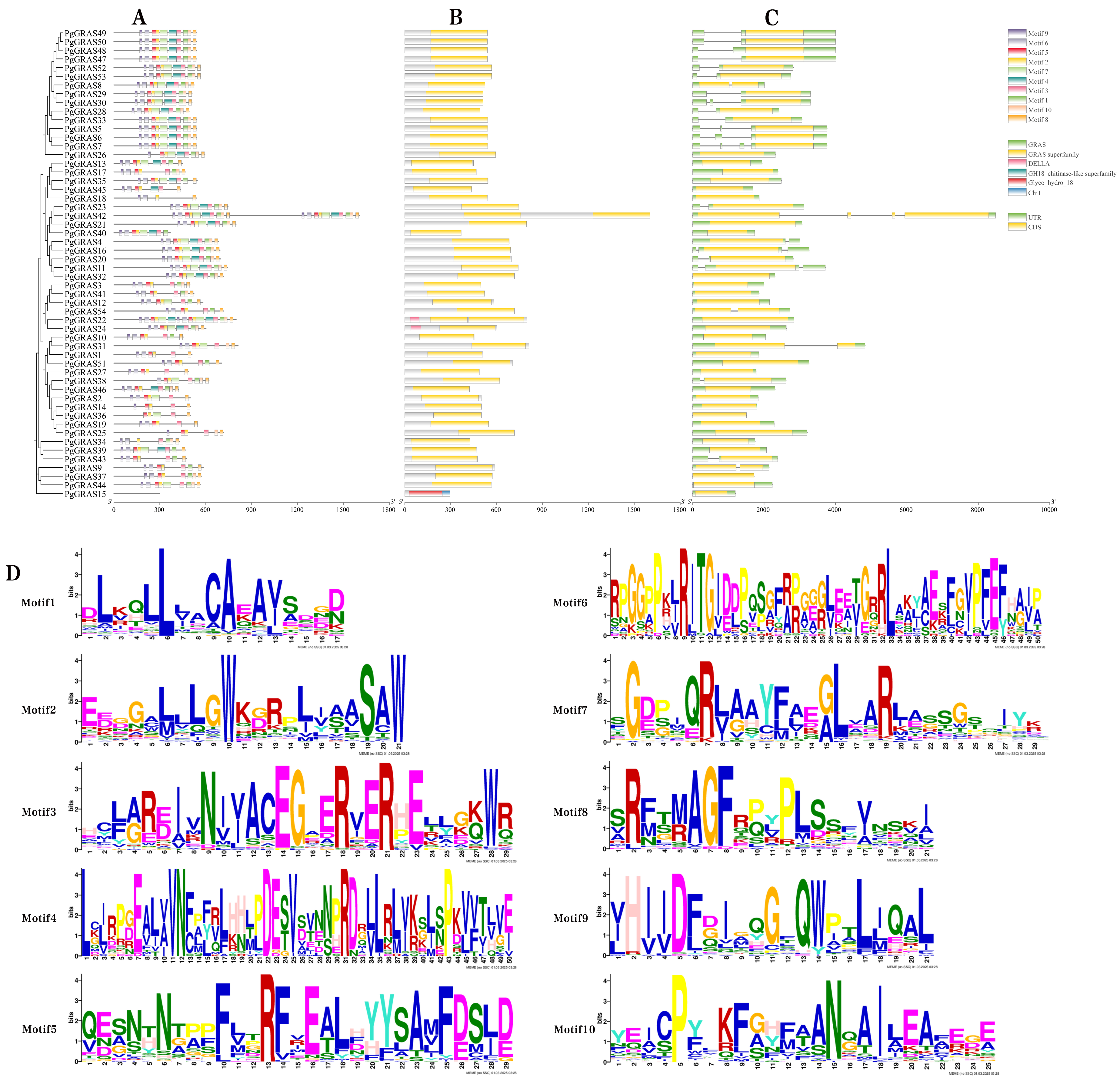 Horticulturae 11 00504 g002