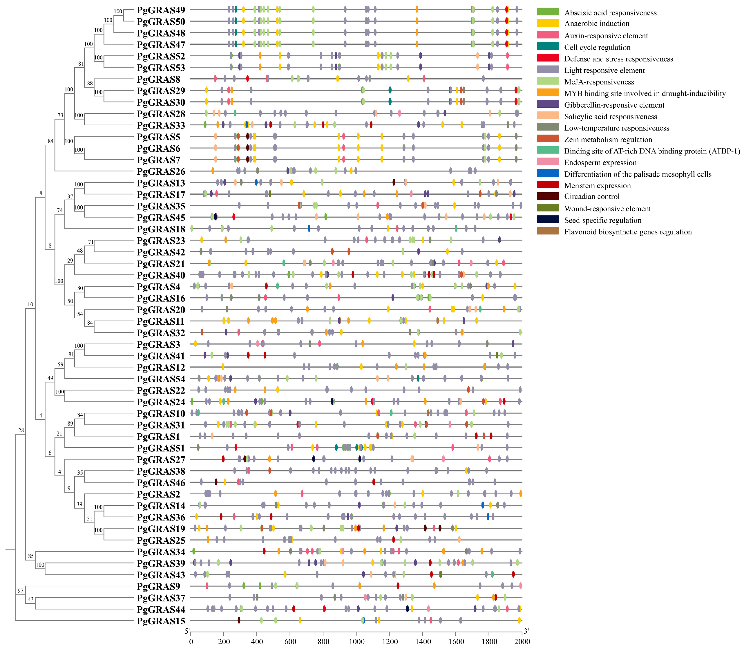 Horticulturae 11 00504 g003
