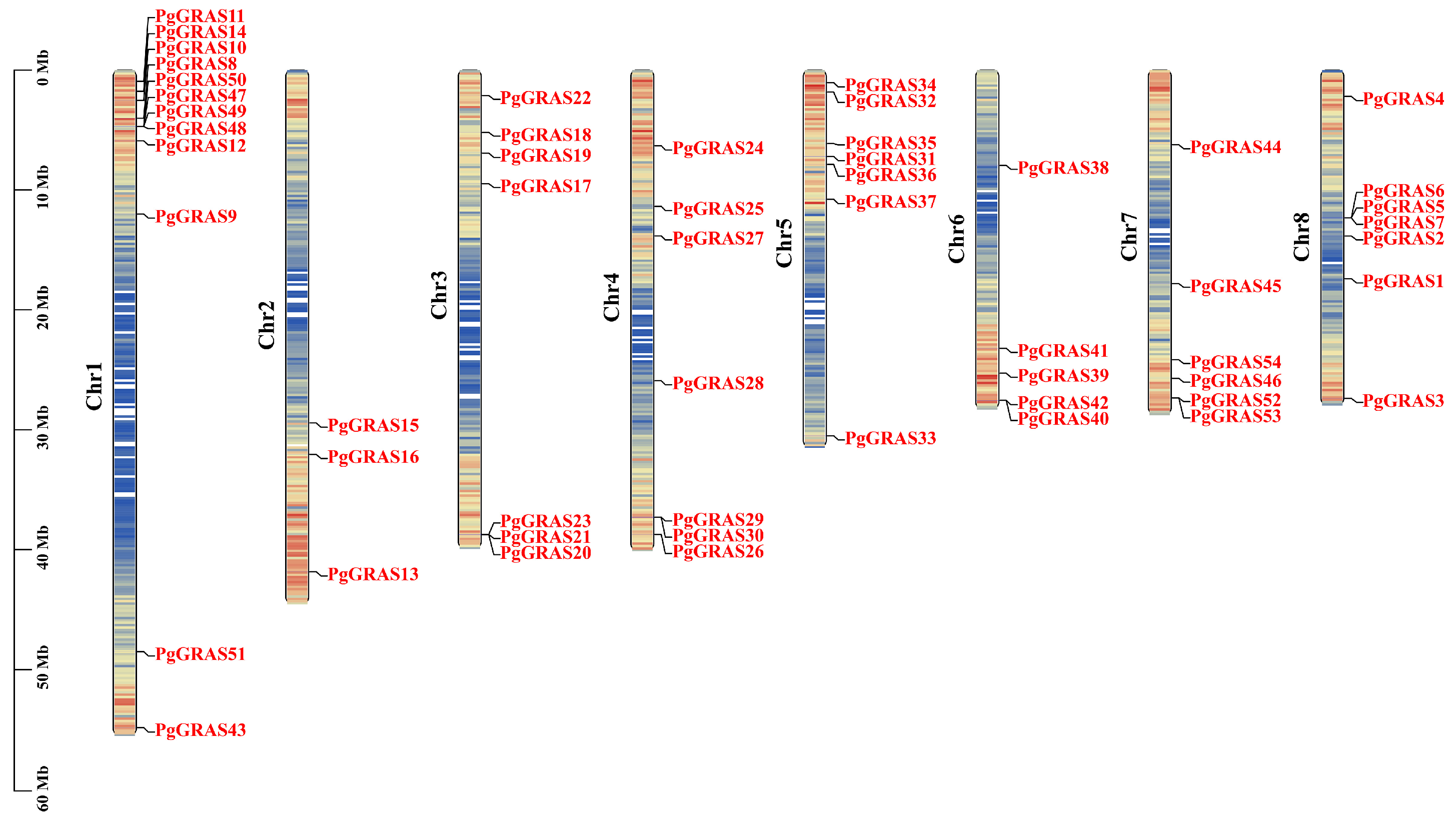 Horticulturae 11 00504 g004