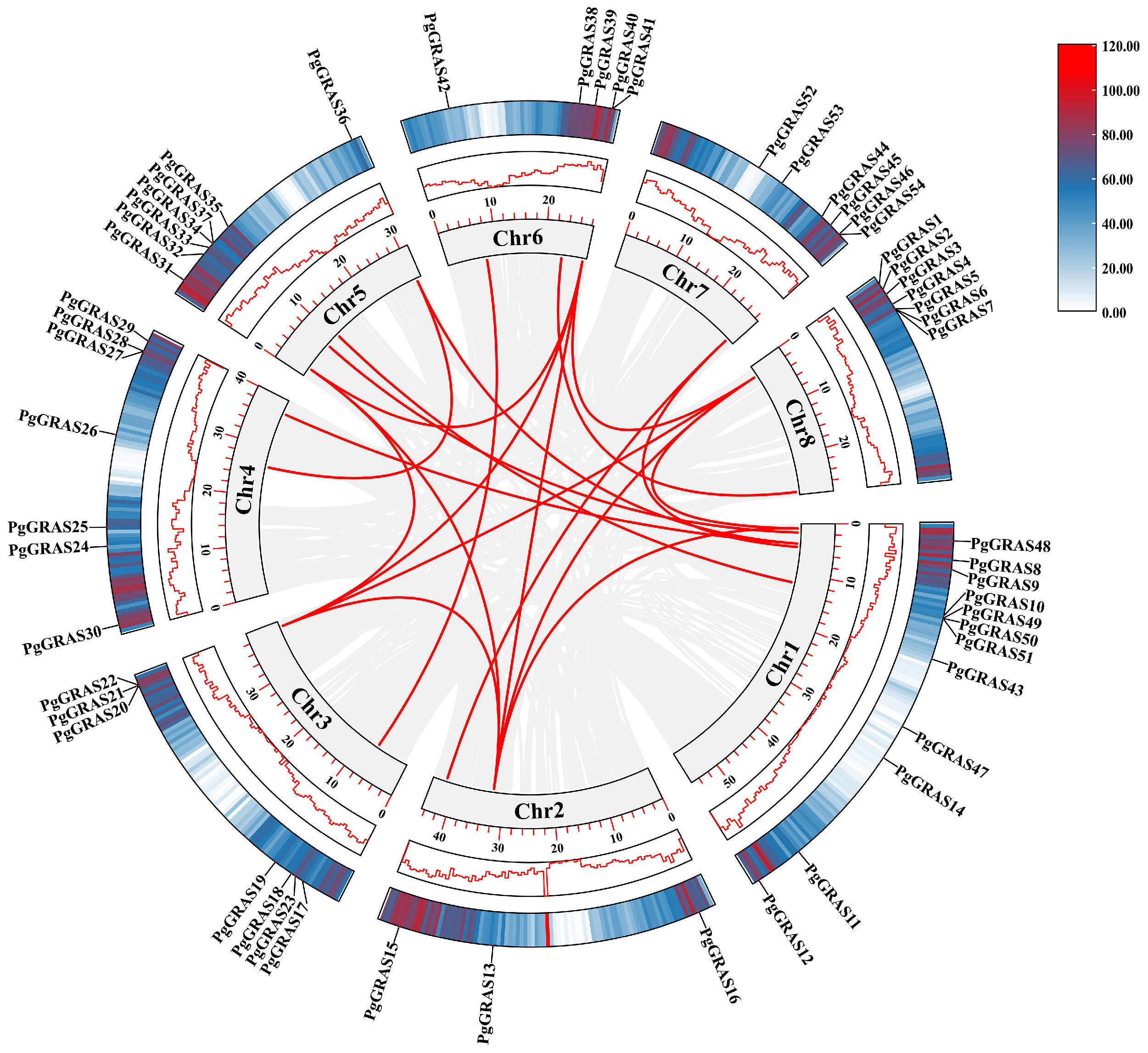 Horticulturae 11 00504 g005