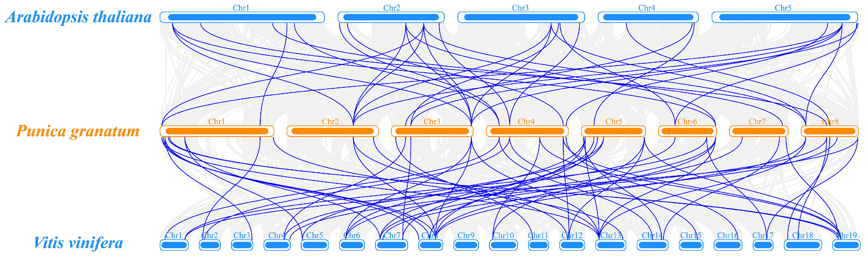 Horticulturae 11 00504 g006