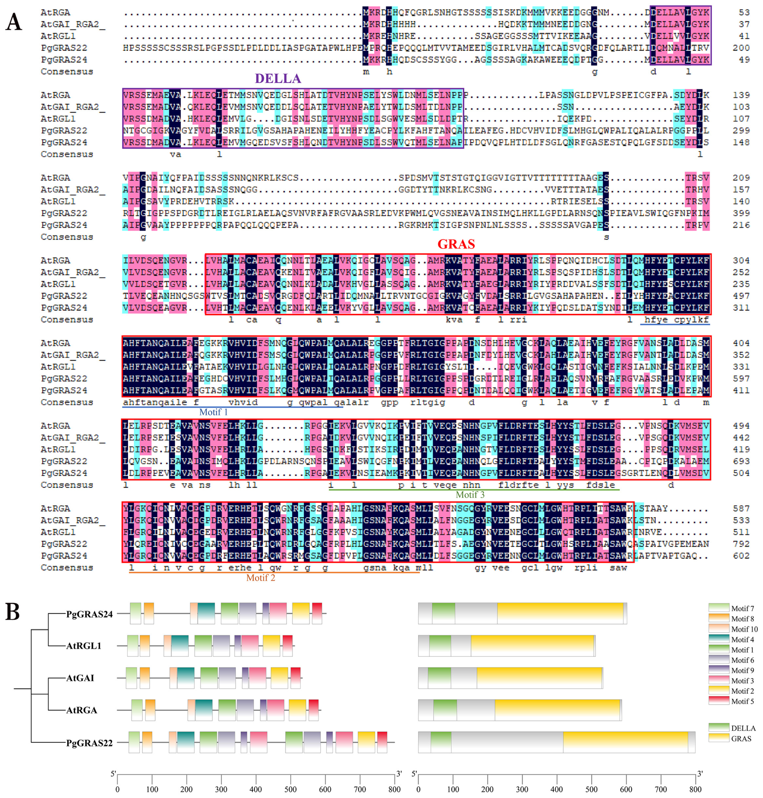 Horticulturae 11 00504 g007