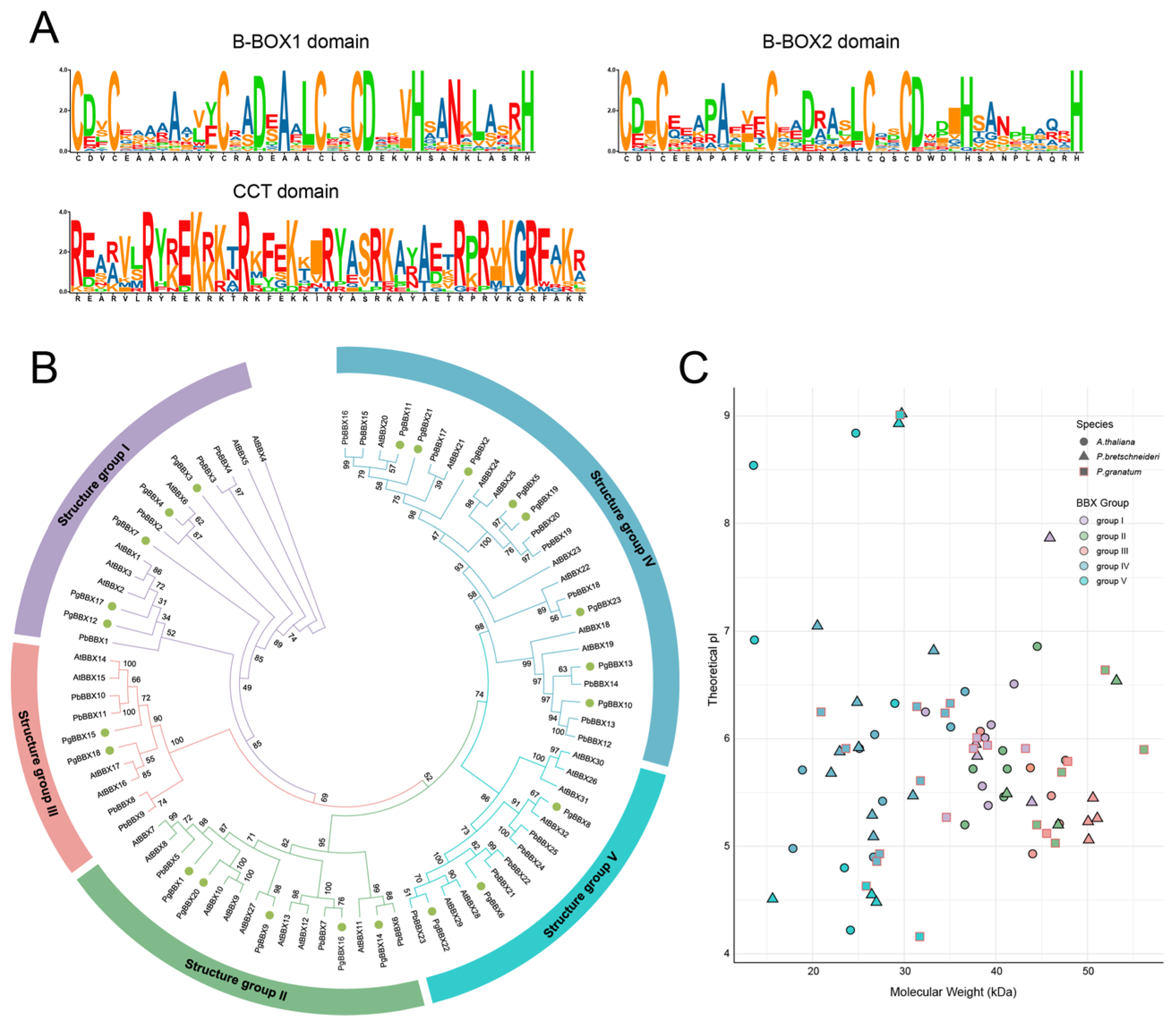 Horticulturae 11 00507 g001