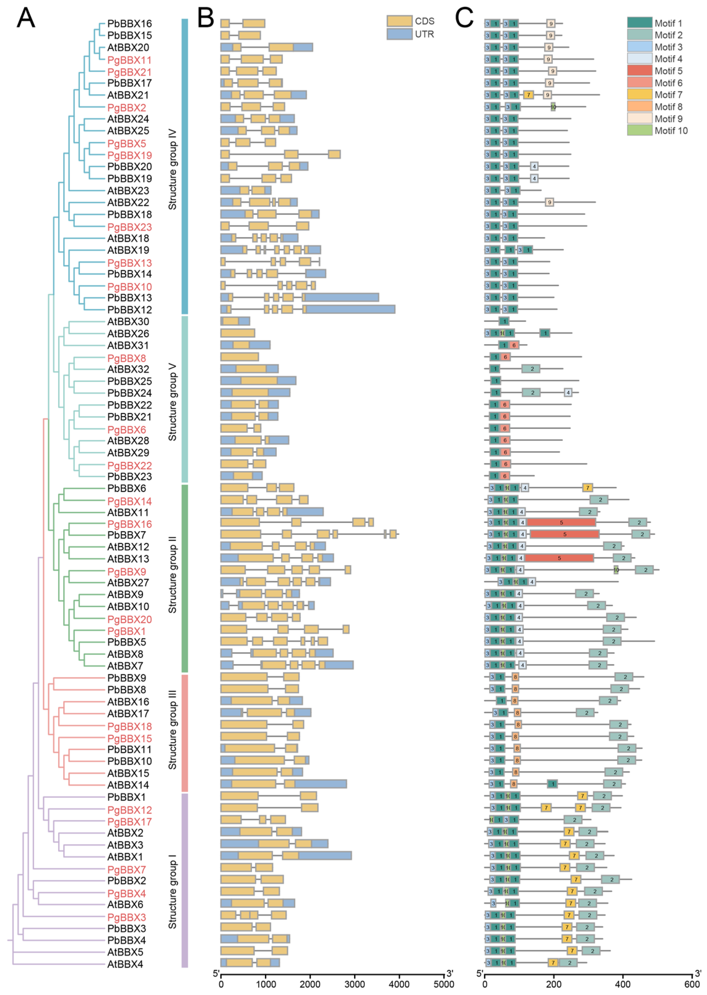 Horticulturae 11 00507 g002