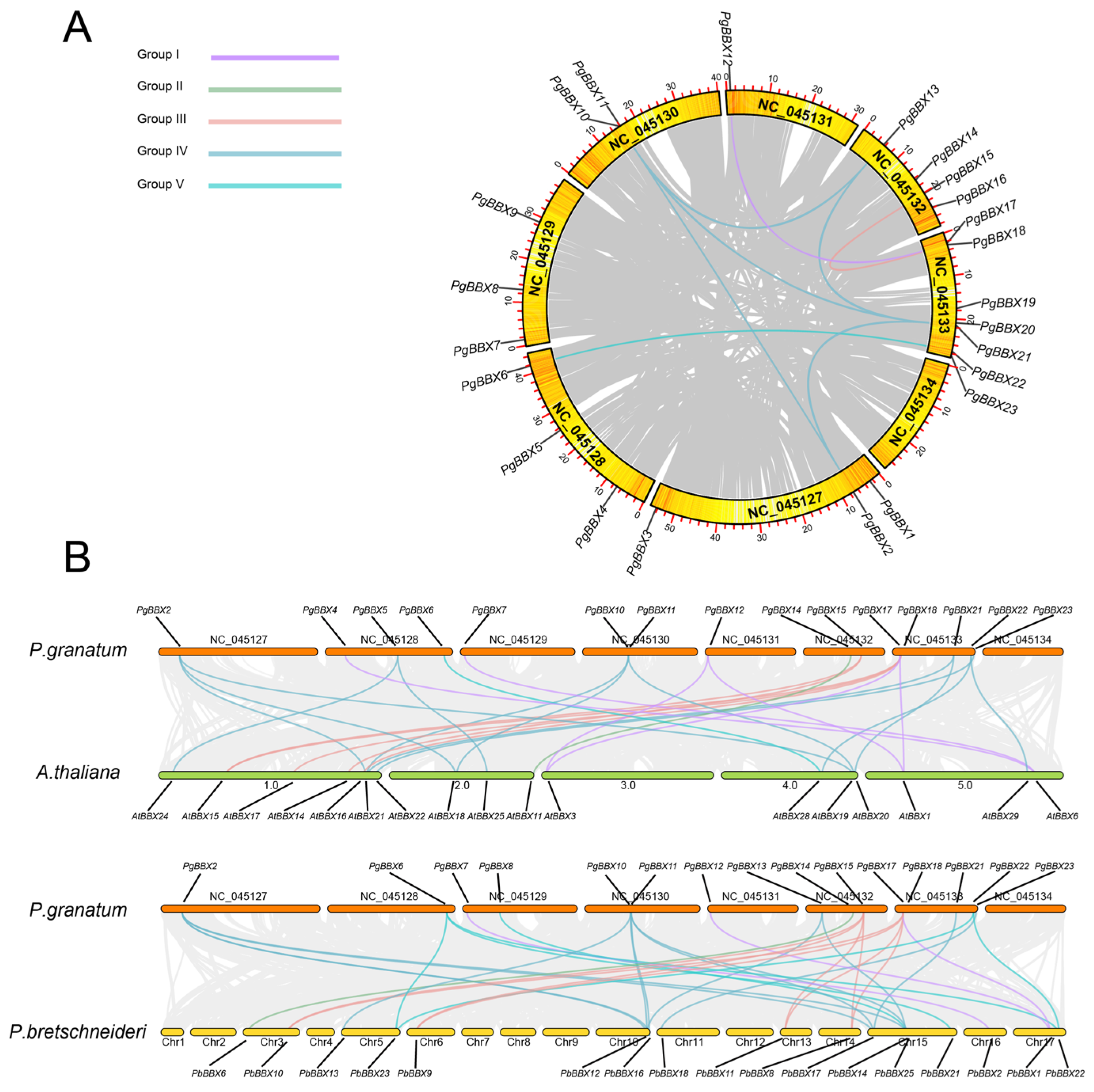 Horticulturae 11 00507 g003