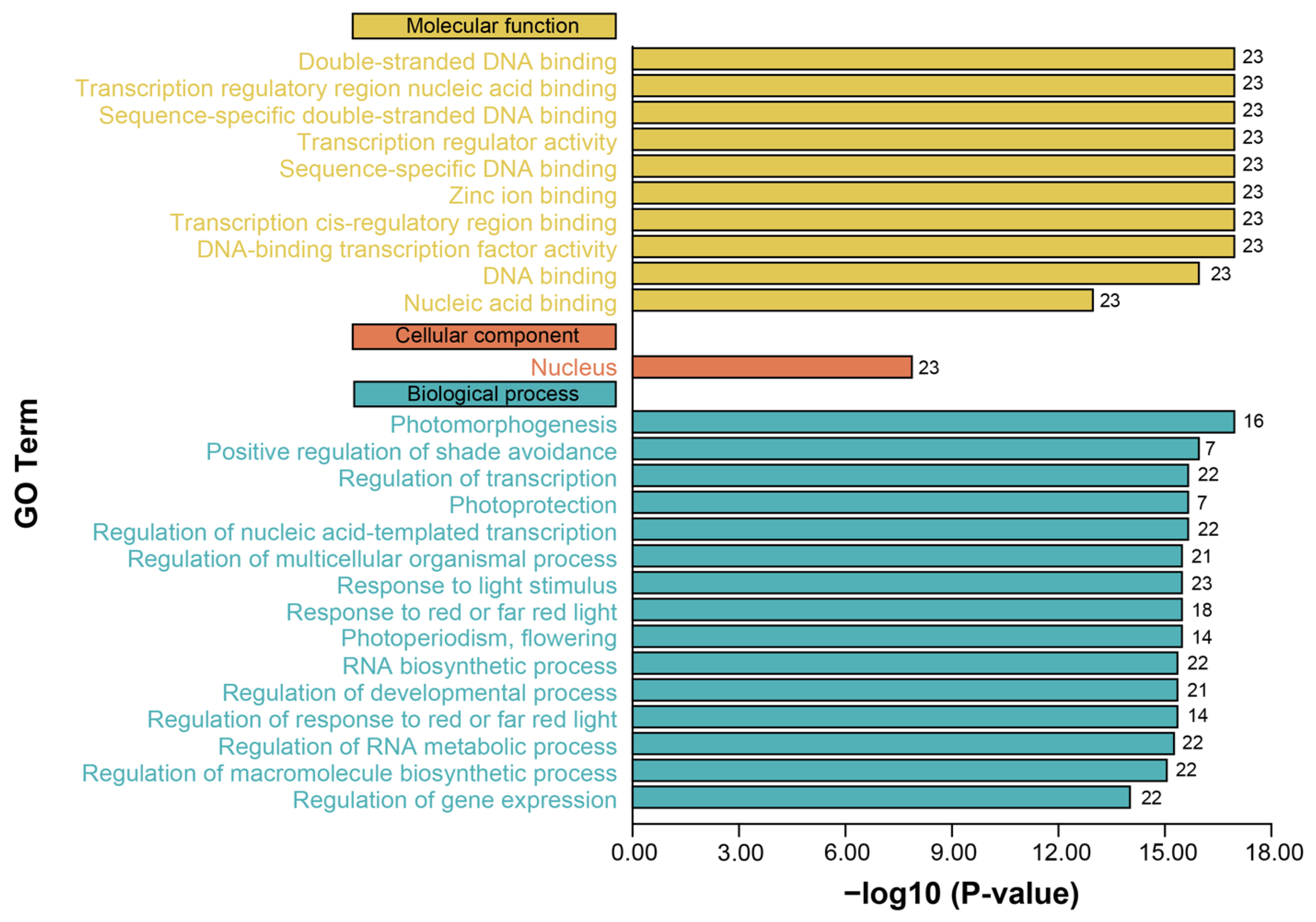 Horticulturae 11 00507 g005