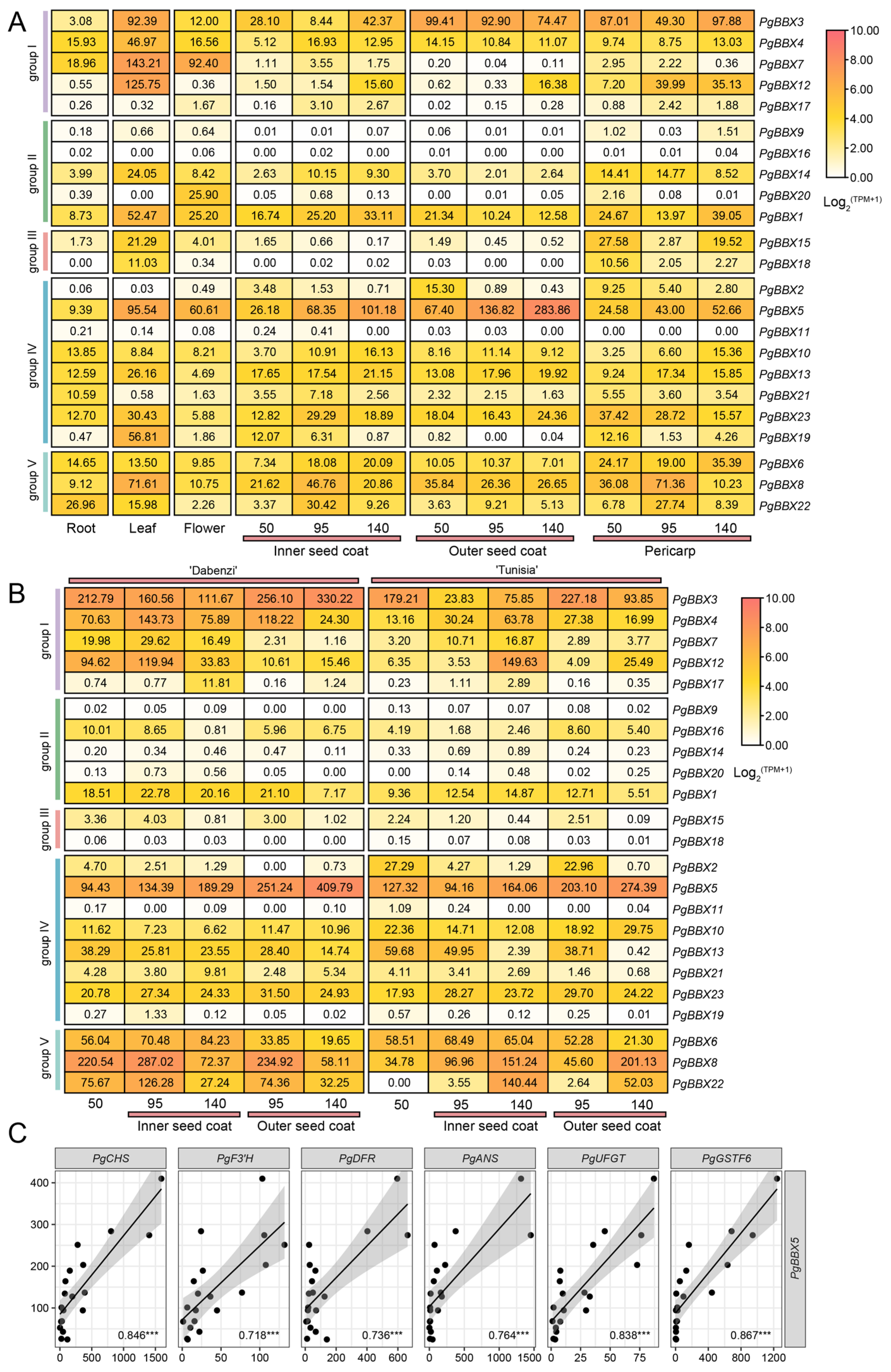 Horticulturae 11 00507 g006