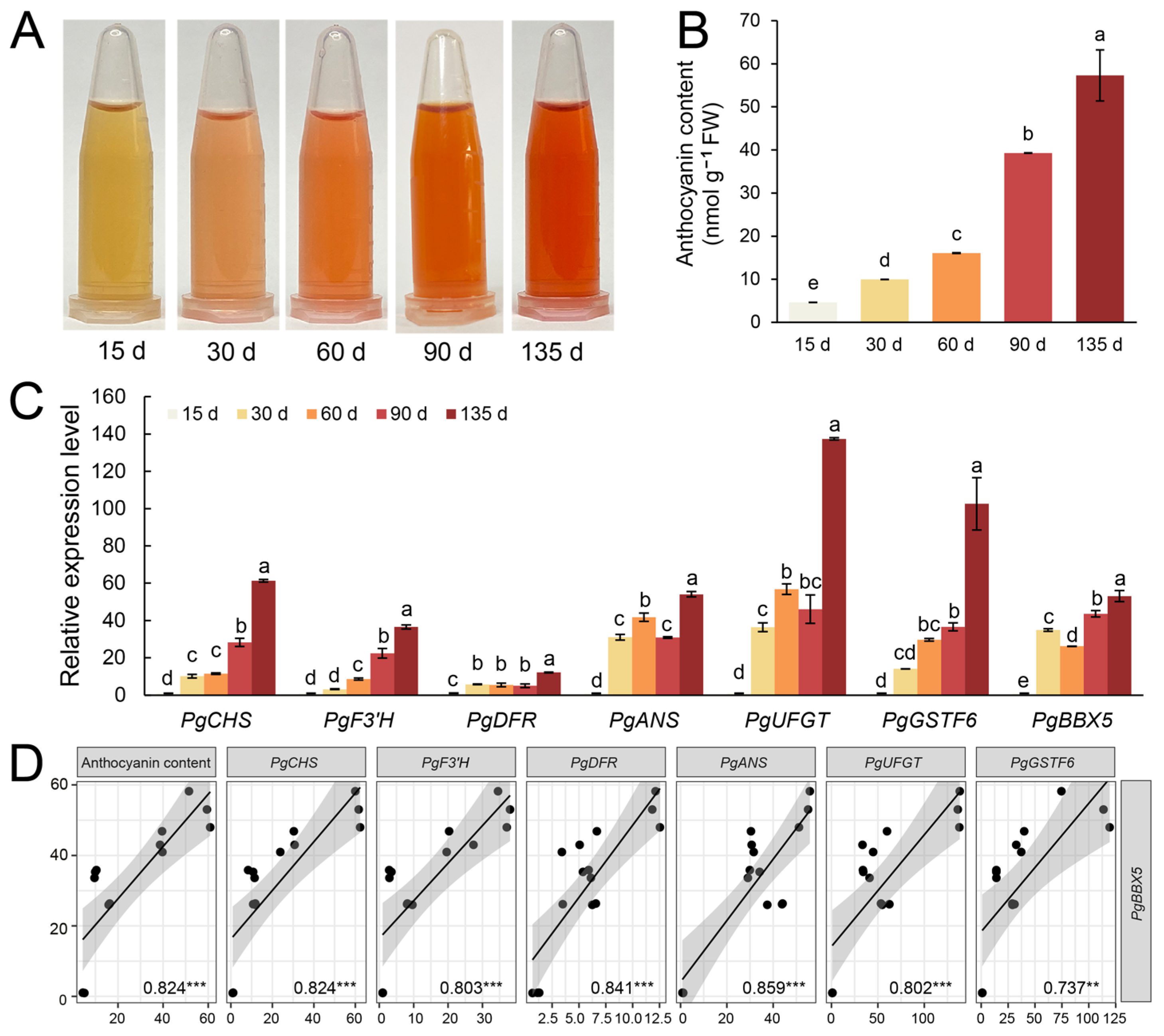Horticulturae 11 00507 g008