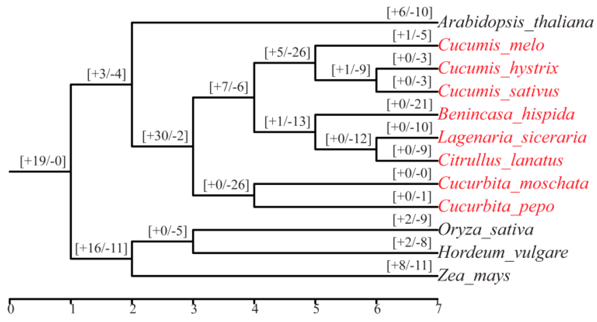 Horticulturae 11 00509 g001