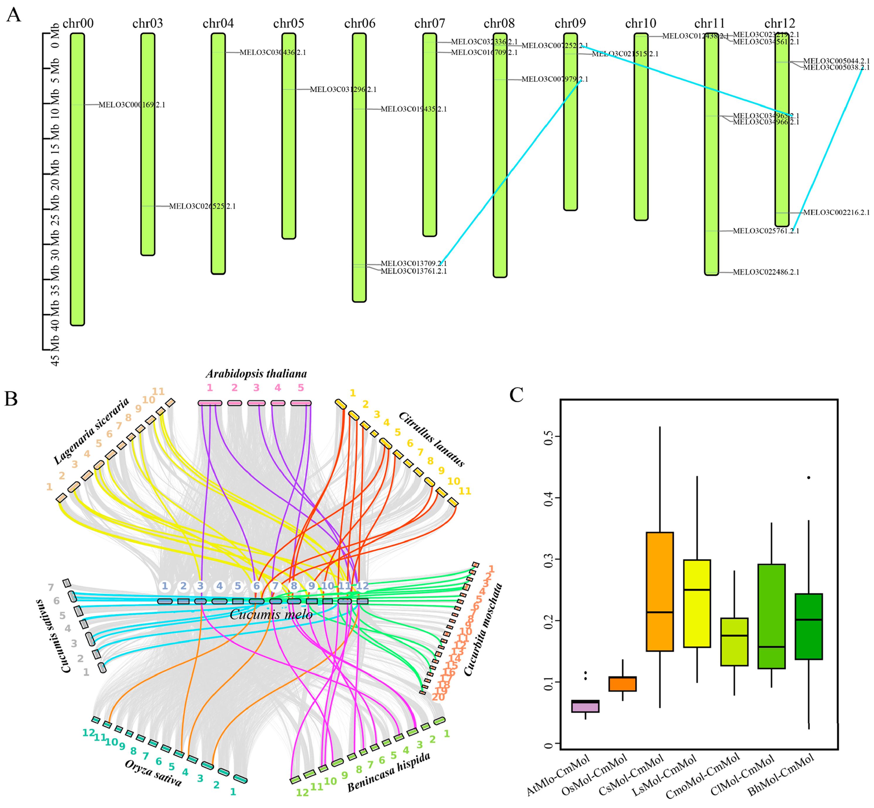 Horticulturae 11 00509 g003