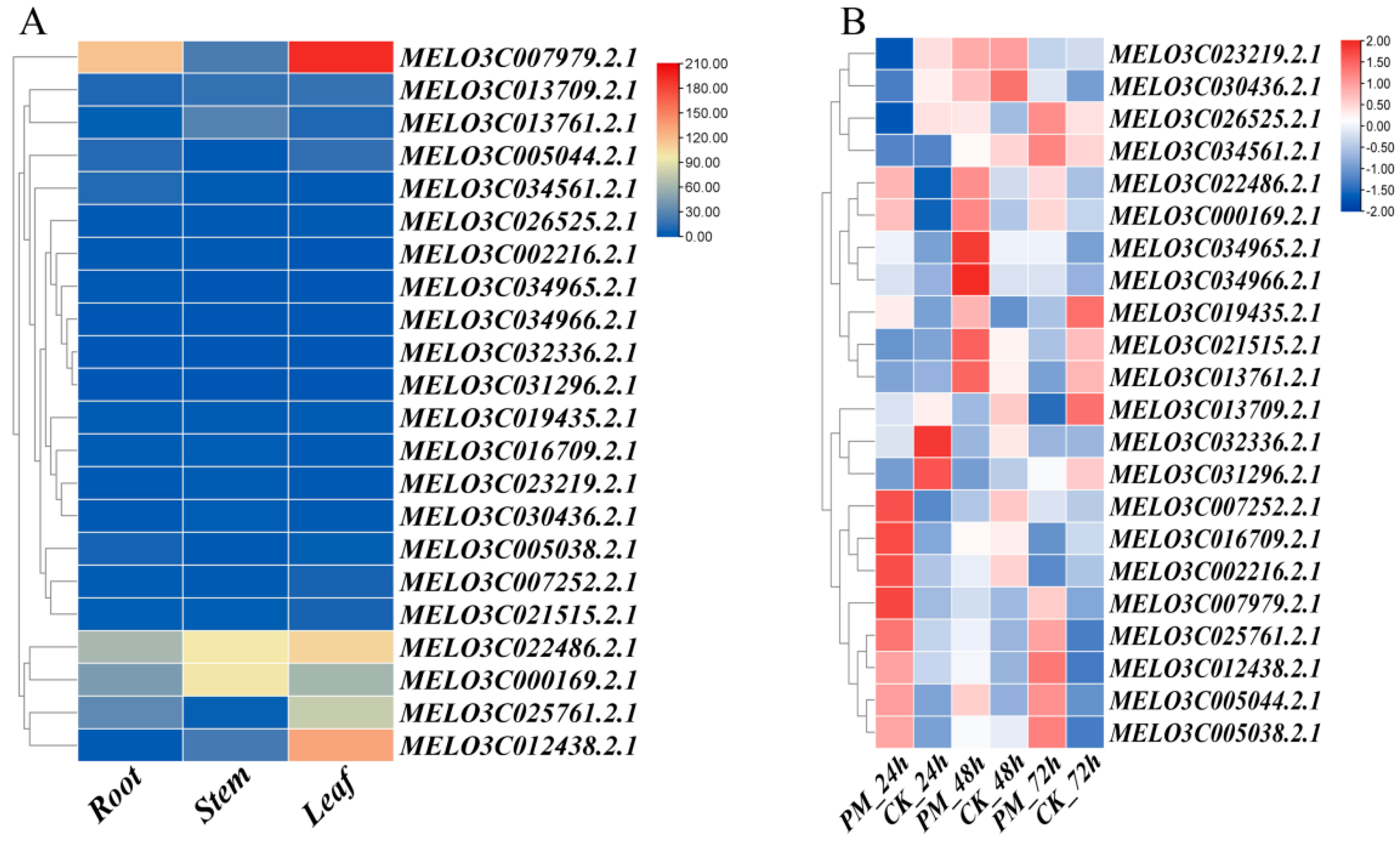 Horticulturae 11 00509 g005