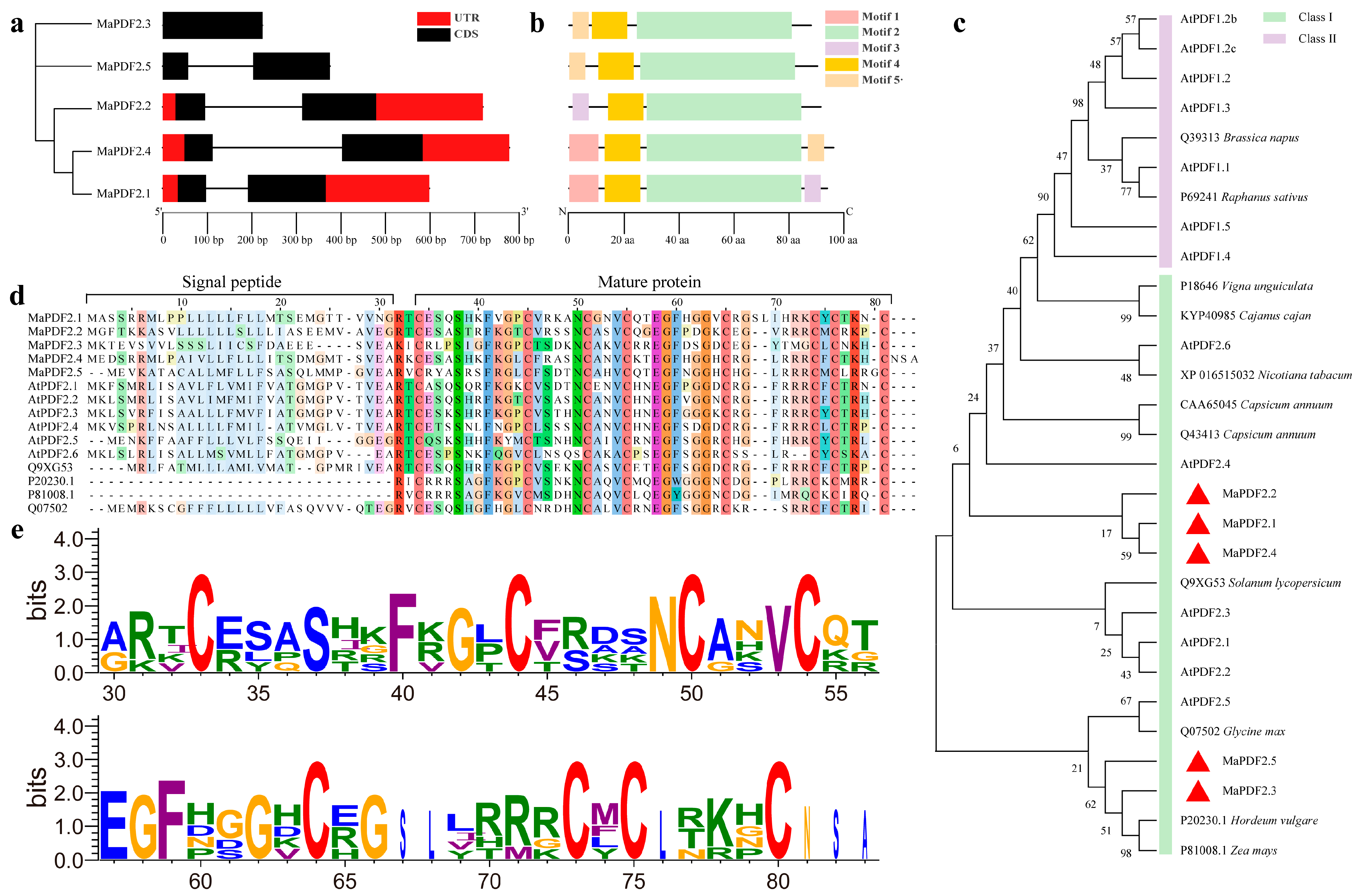 Horticulturae 11 00513 g001