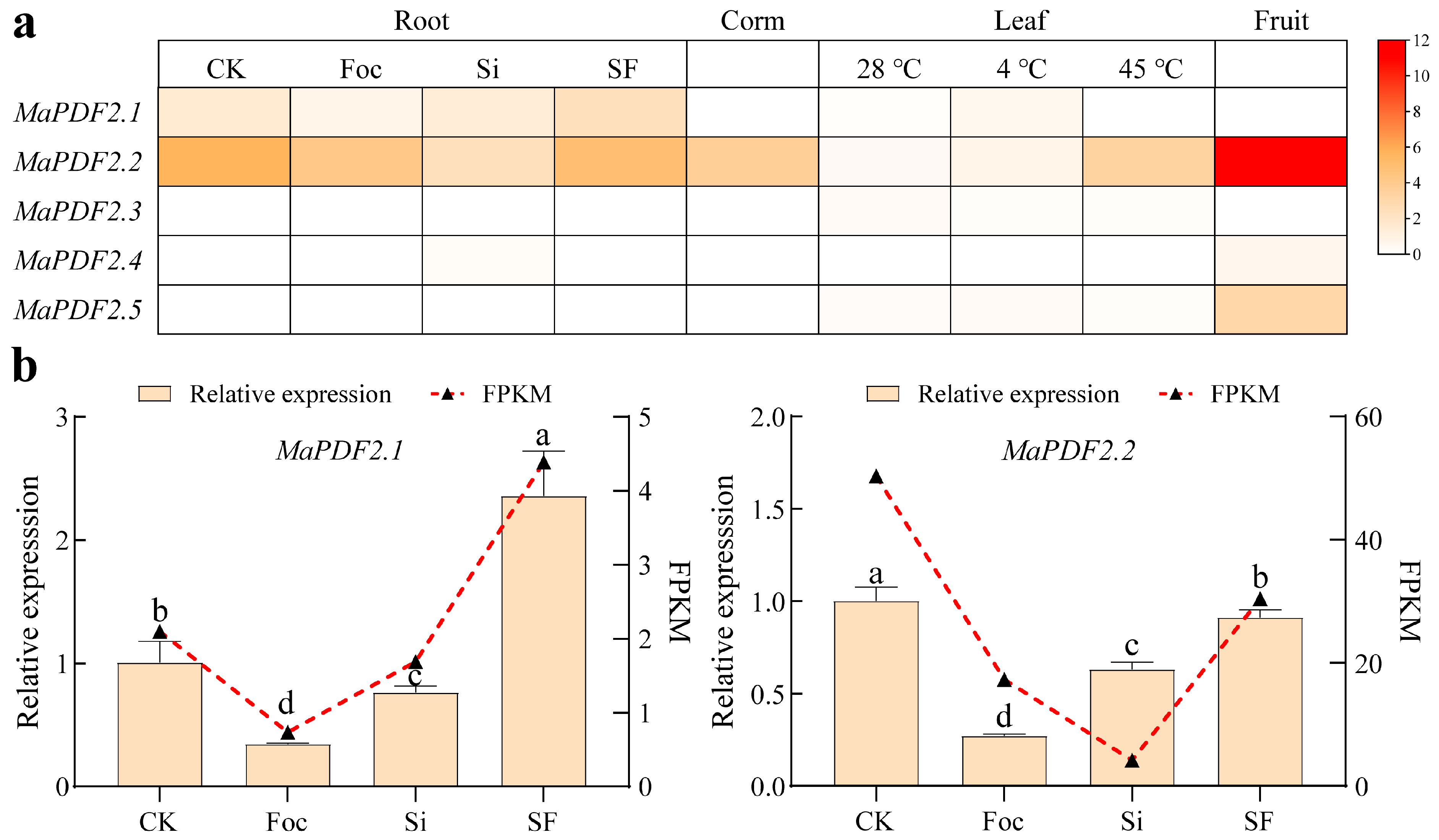 Horticulturae 11 00513 g003