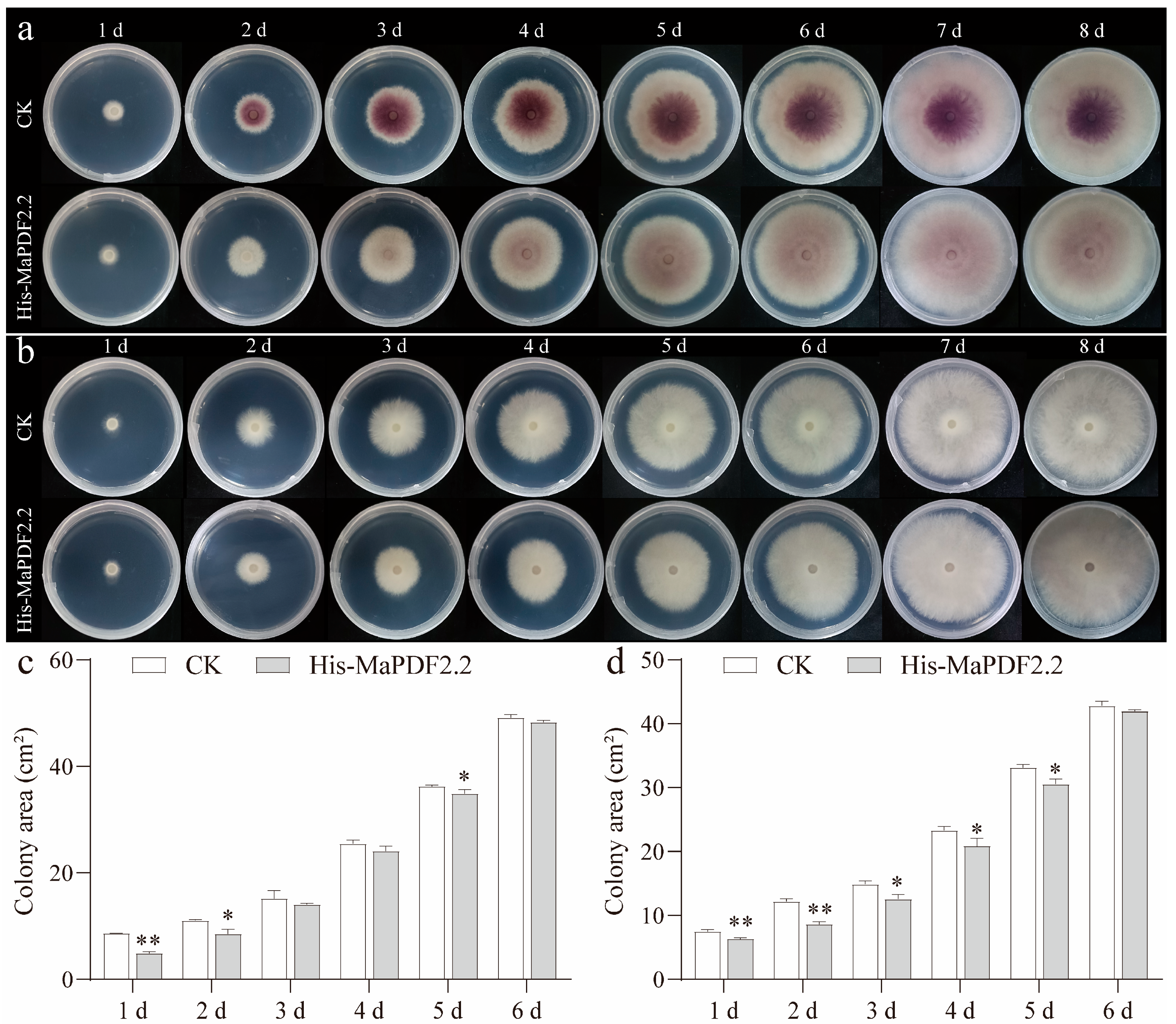 Horticulturae 11 00513 g005