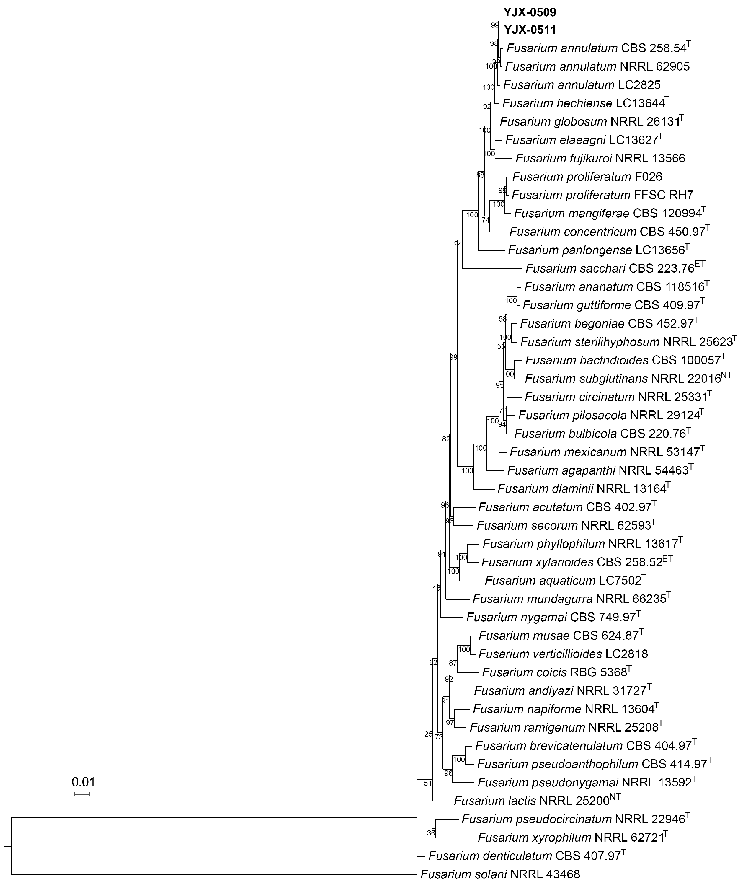 Horticulturae 11 00518 g003