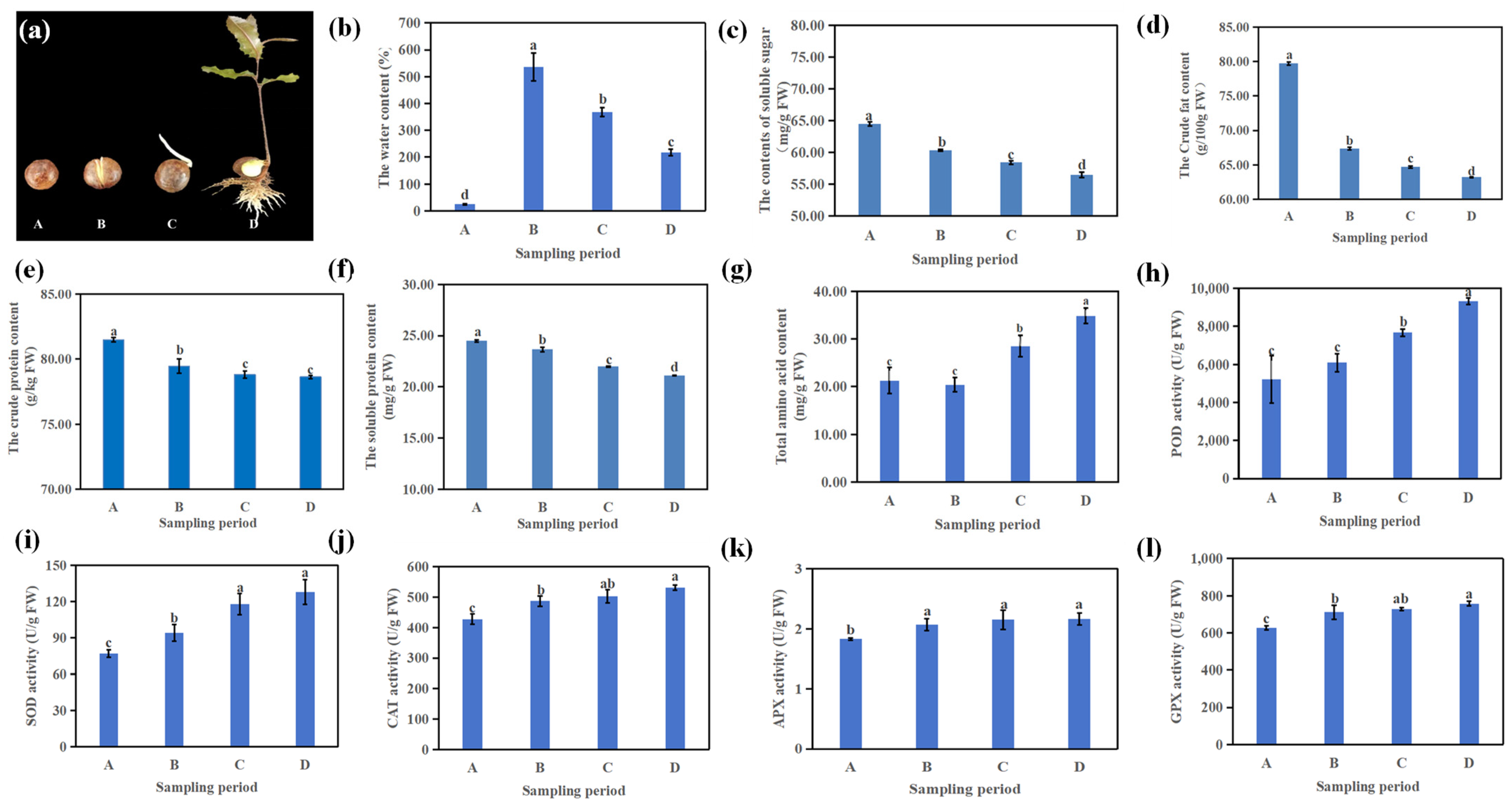 Horticulturae 11 00519 g001