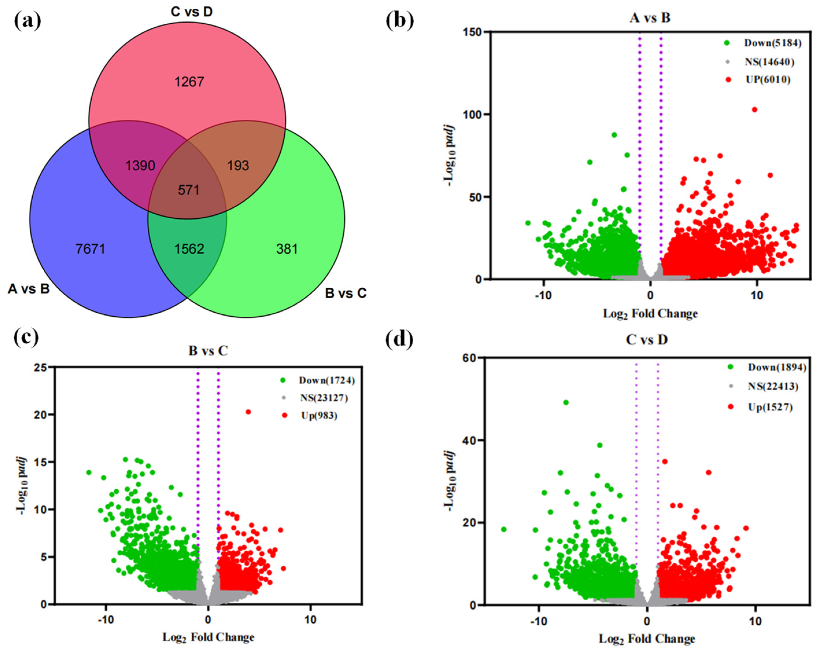 Horticulturae 11 00519 g005