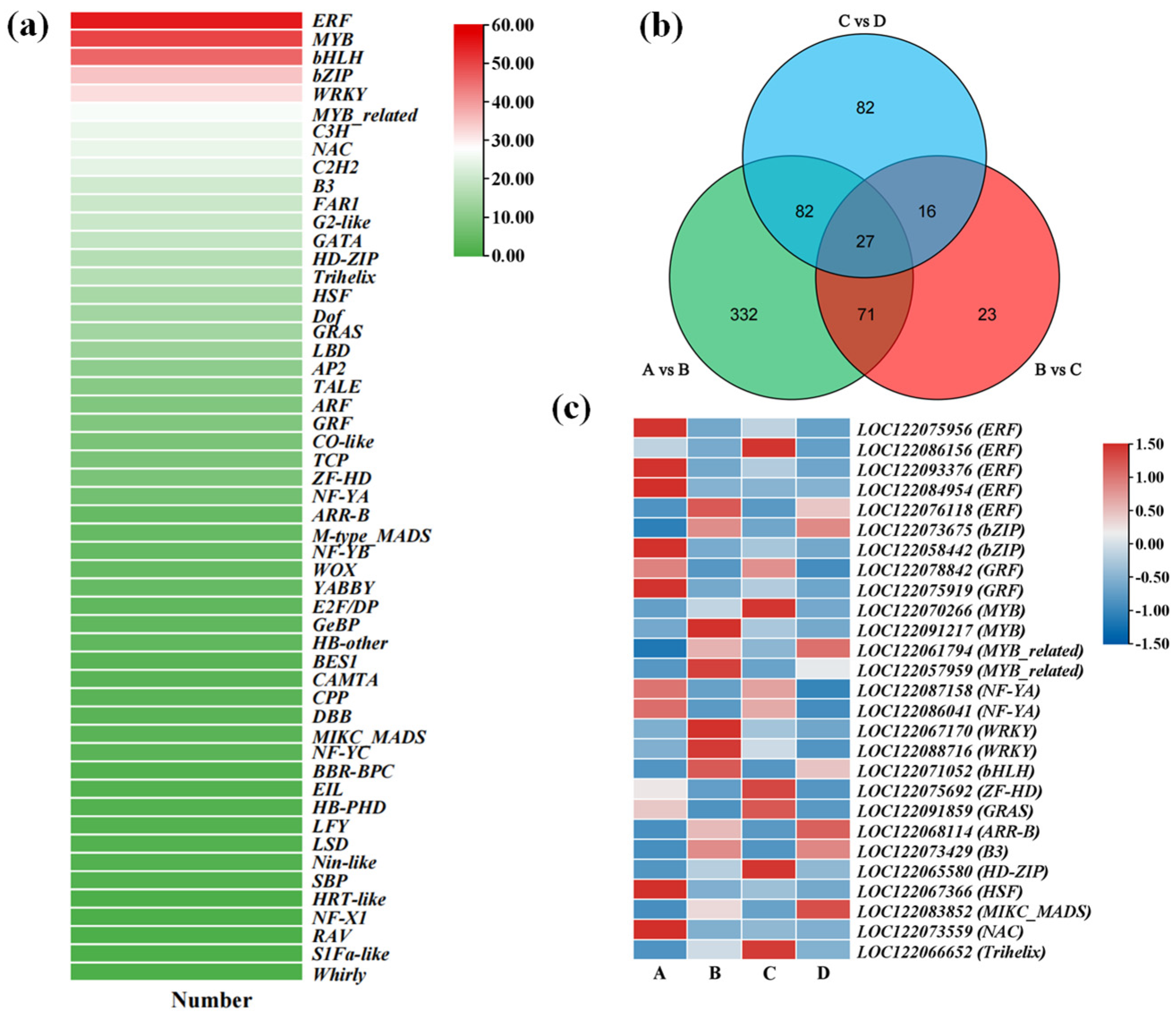 Horticulturae 11 00519 g007