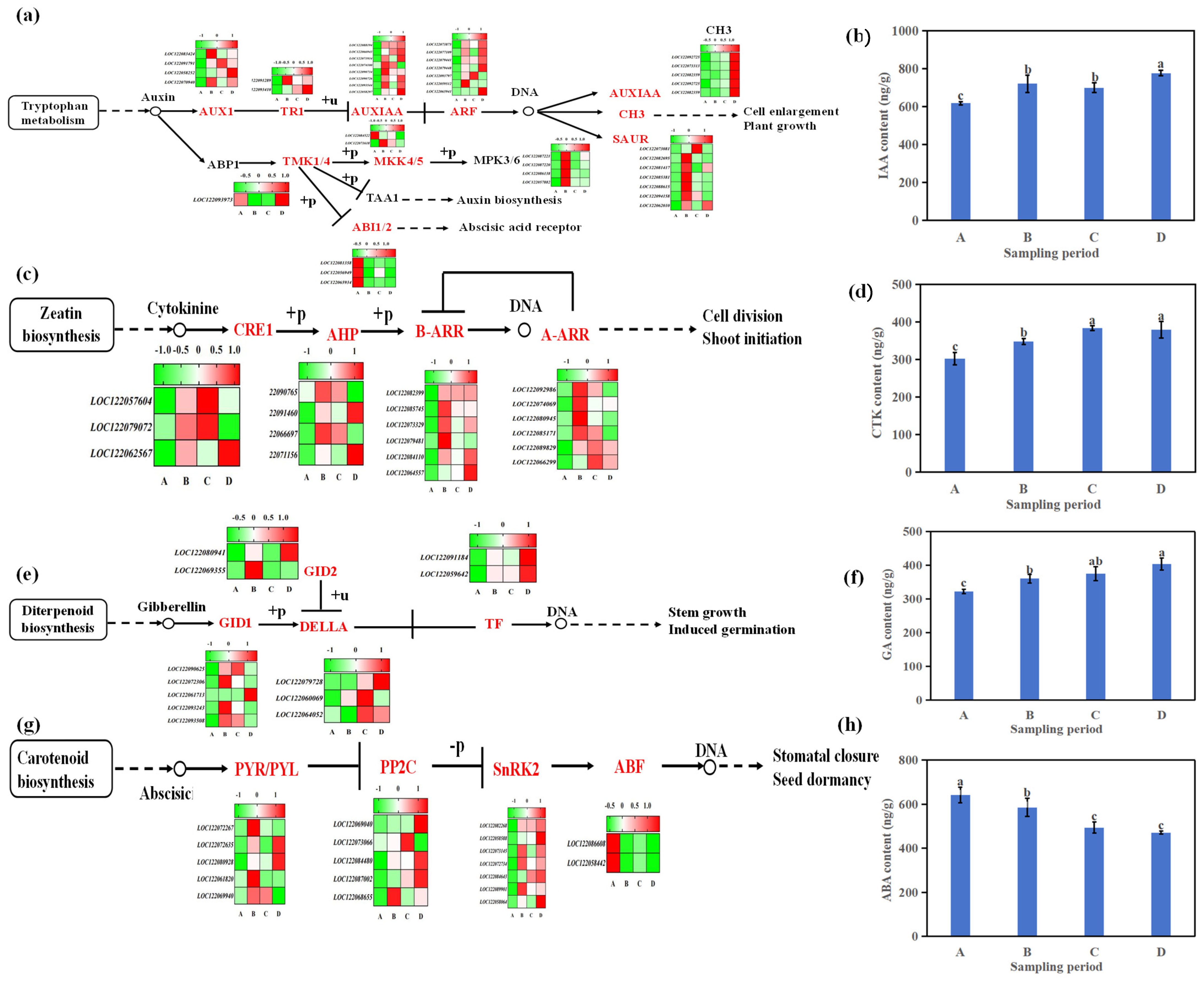 Horticulturae 11 00519 g010