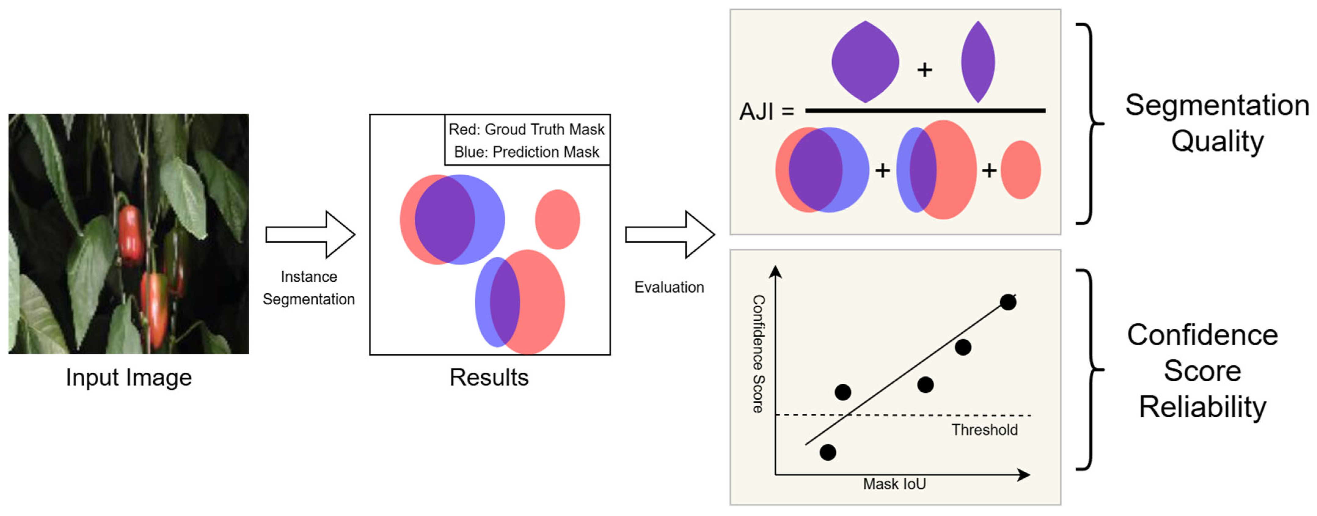 Horticulturae 11 00525 g001