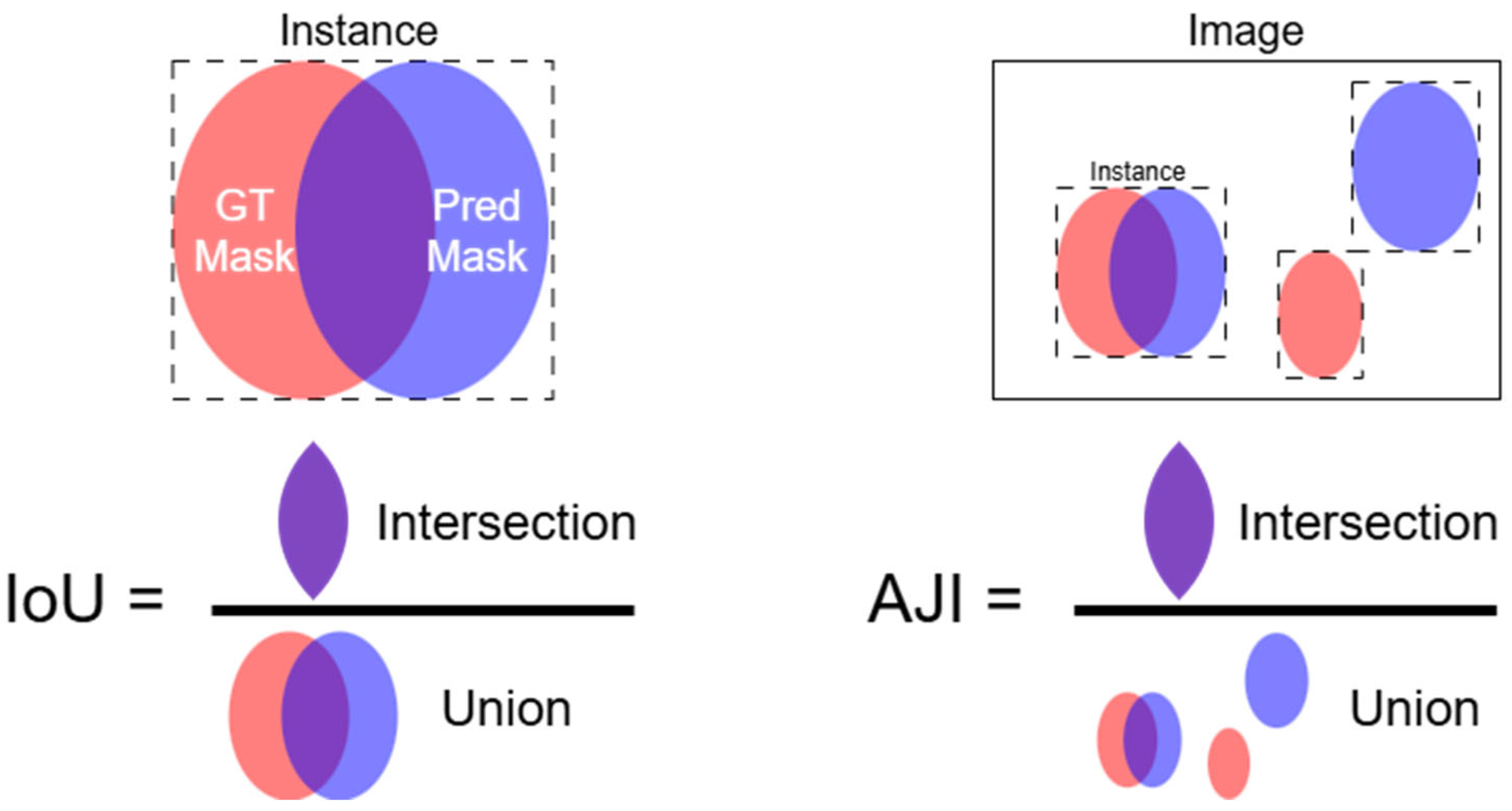 Horticulturae 11 00525 g005