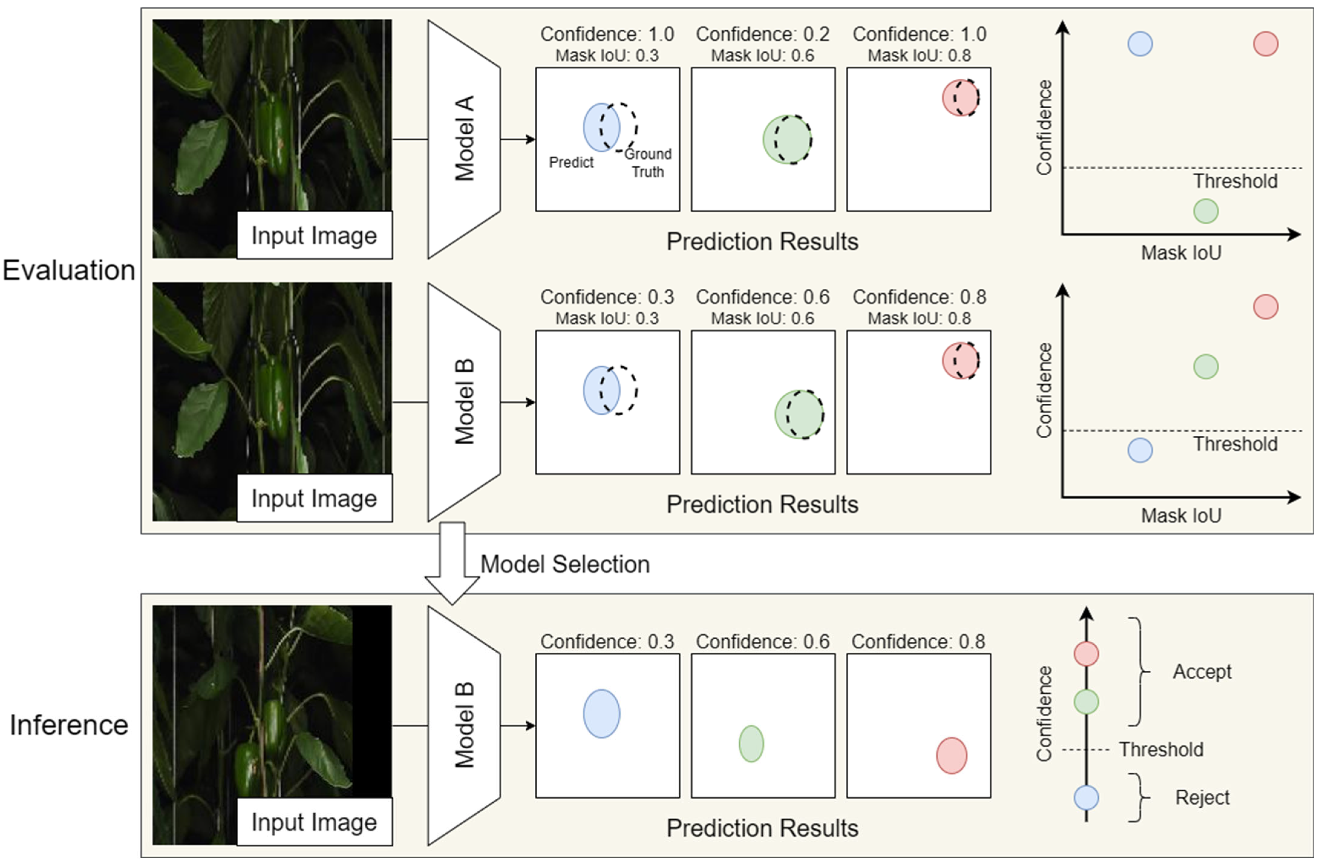 Horticulturae 11 00525 g006