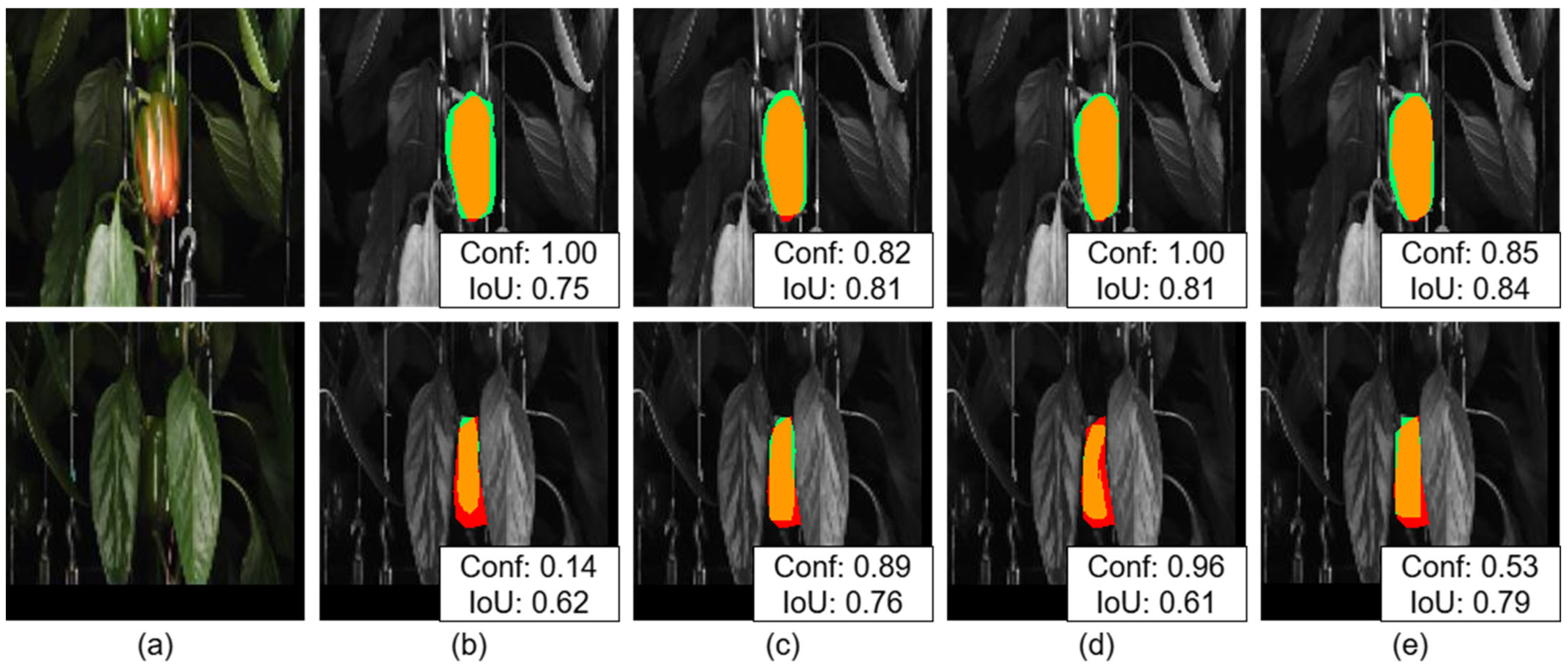 Horticulturae 11 00525 g008